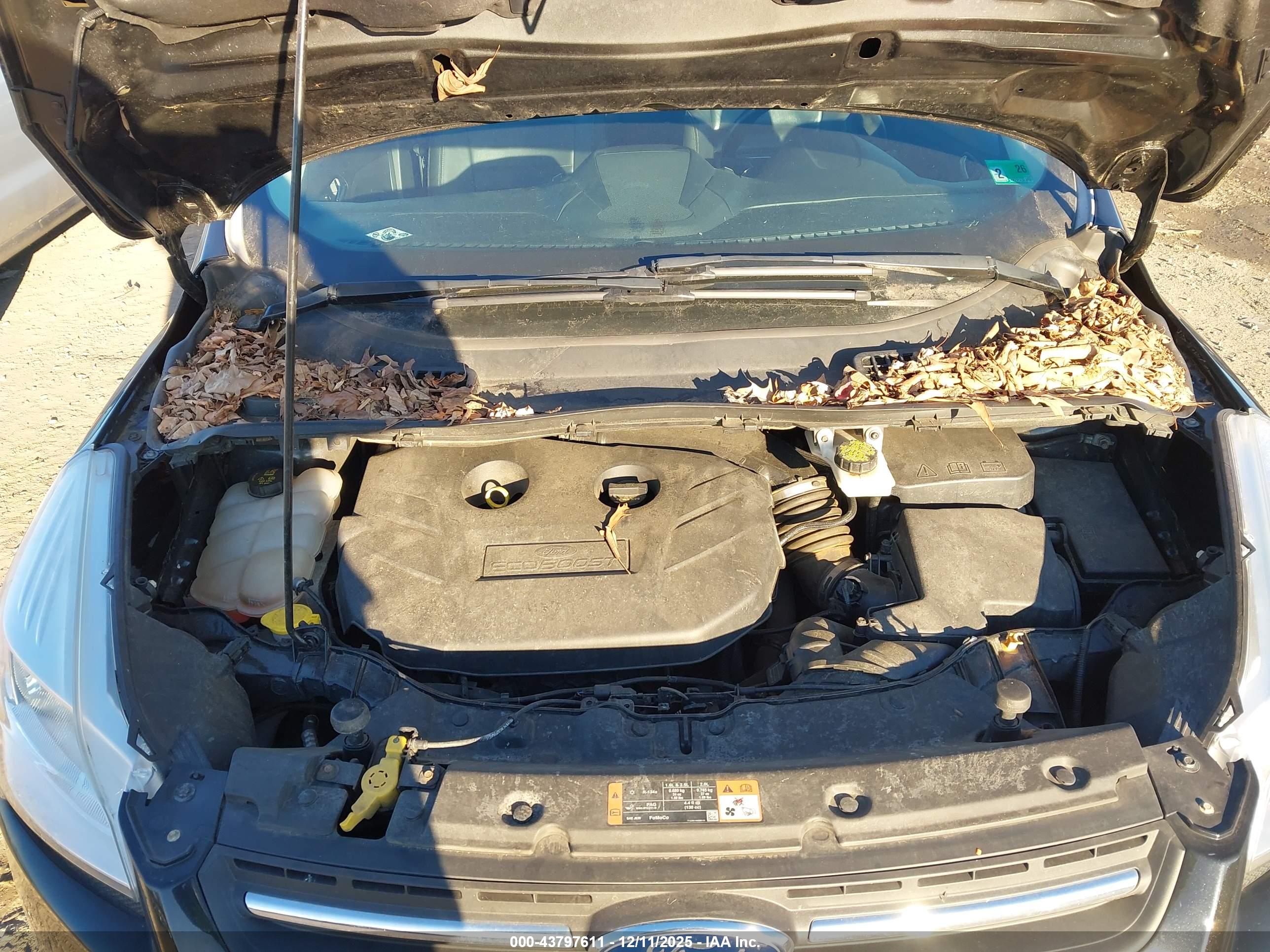 FORD ESCAPE image 10