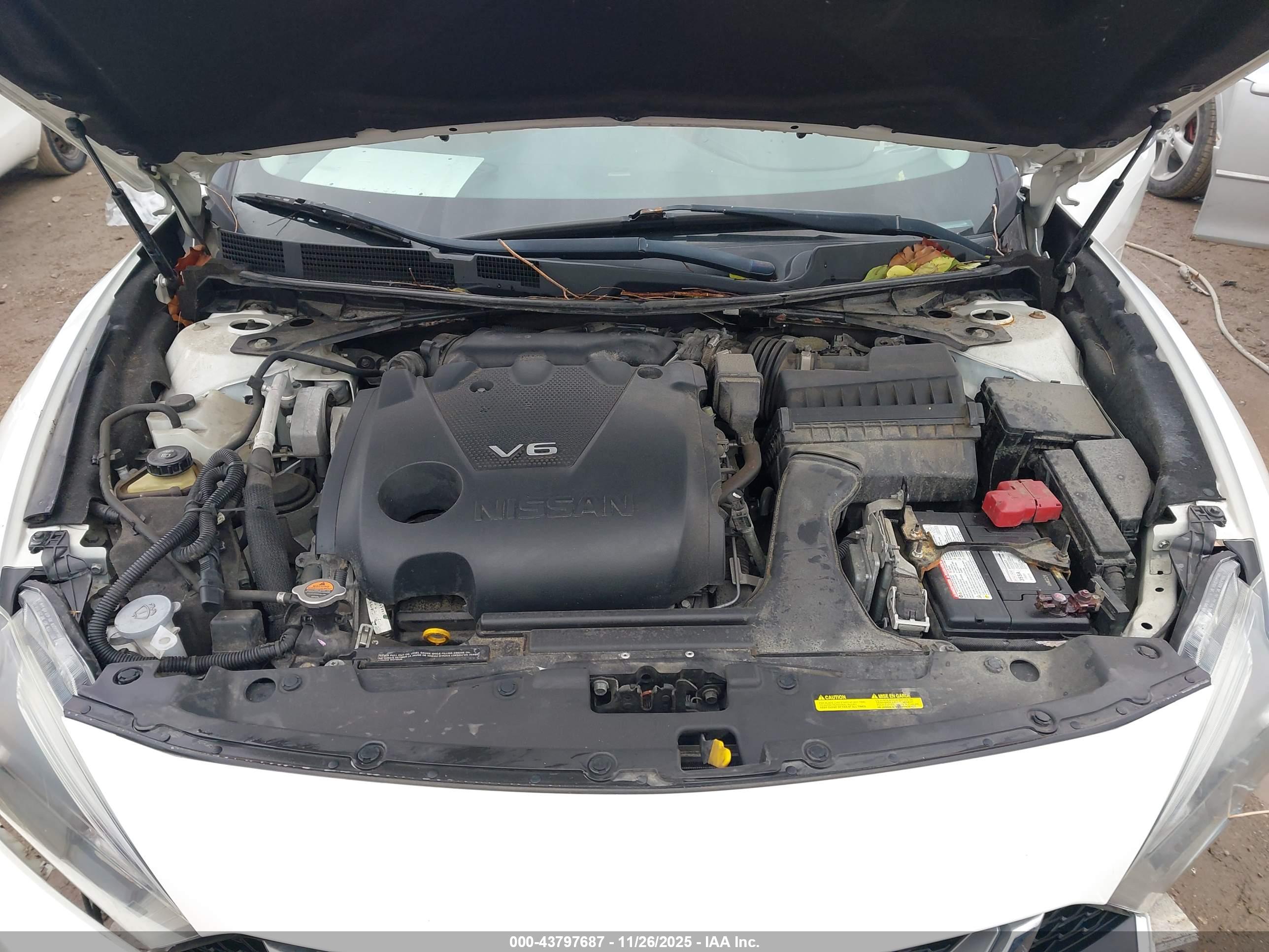 NISSAN MAXIMA image 10