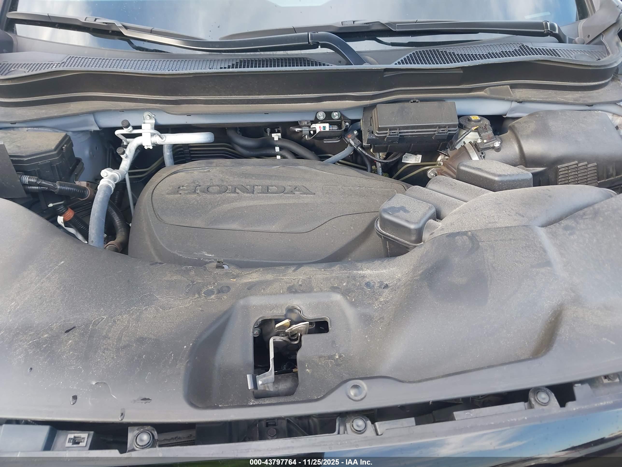 HONDA PASSPORT image 10