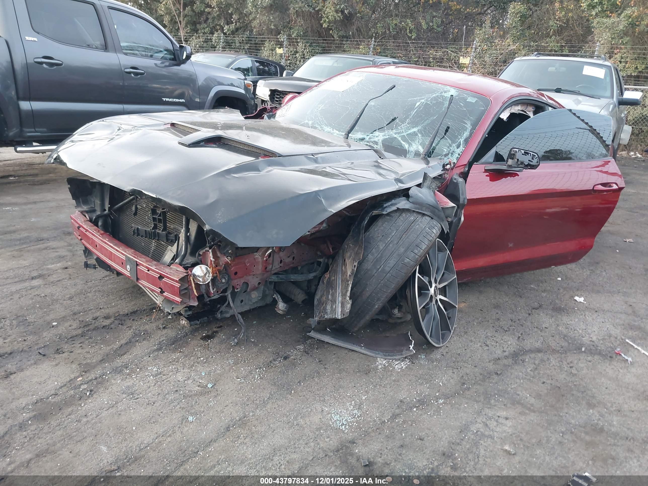FORD MUSTANG image 2