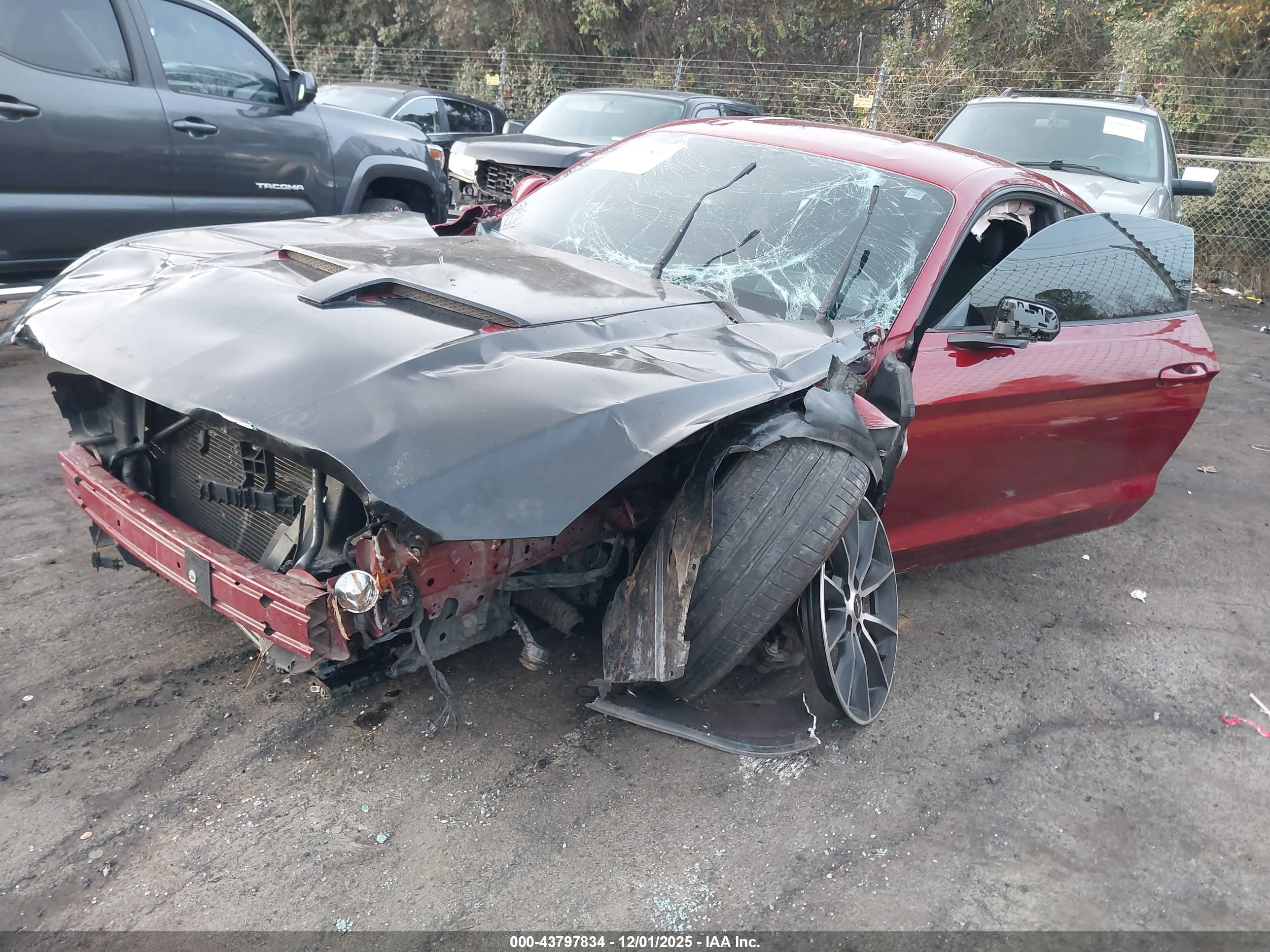 FORD MUSTANG image 6
