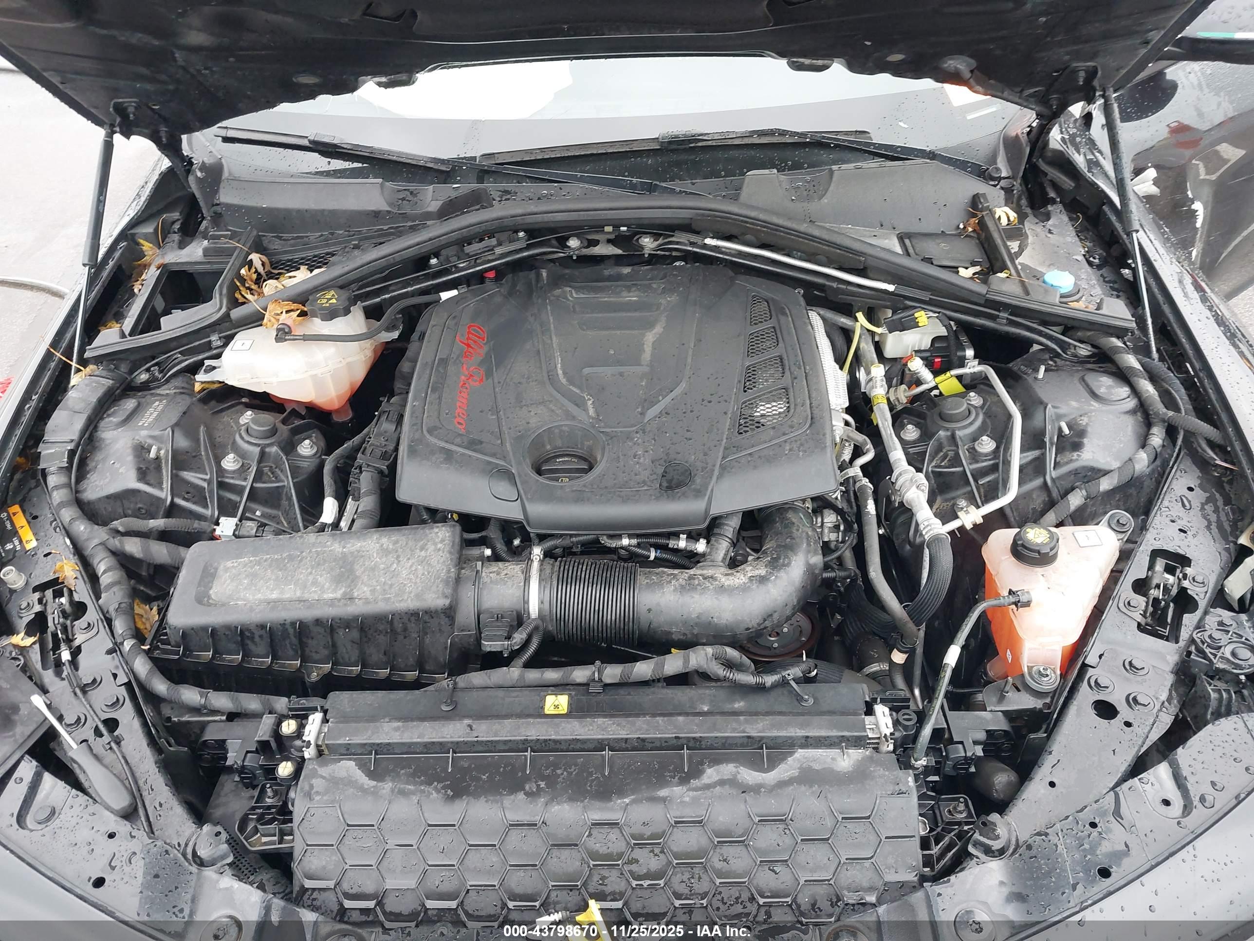 ALFA ROMEO image 10