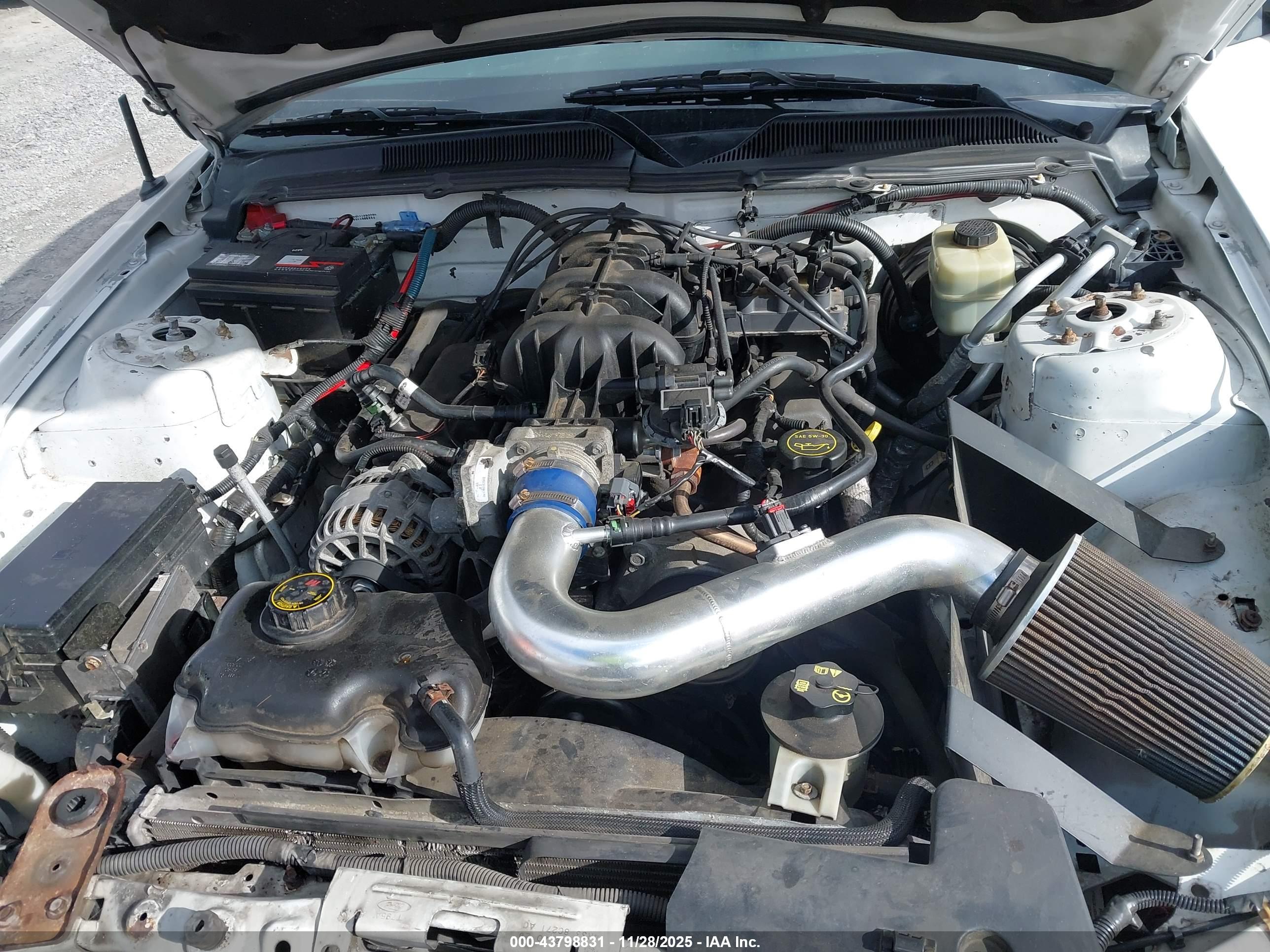 FORD MUSTANG image 10