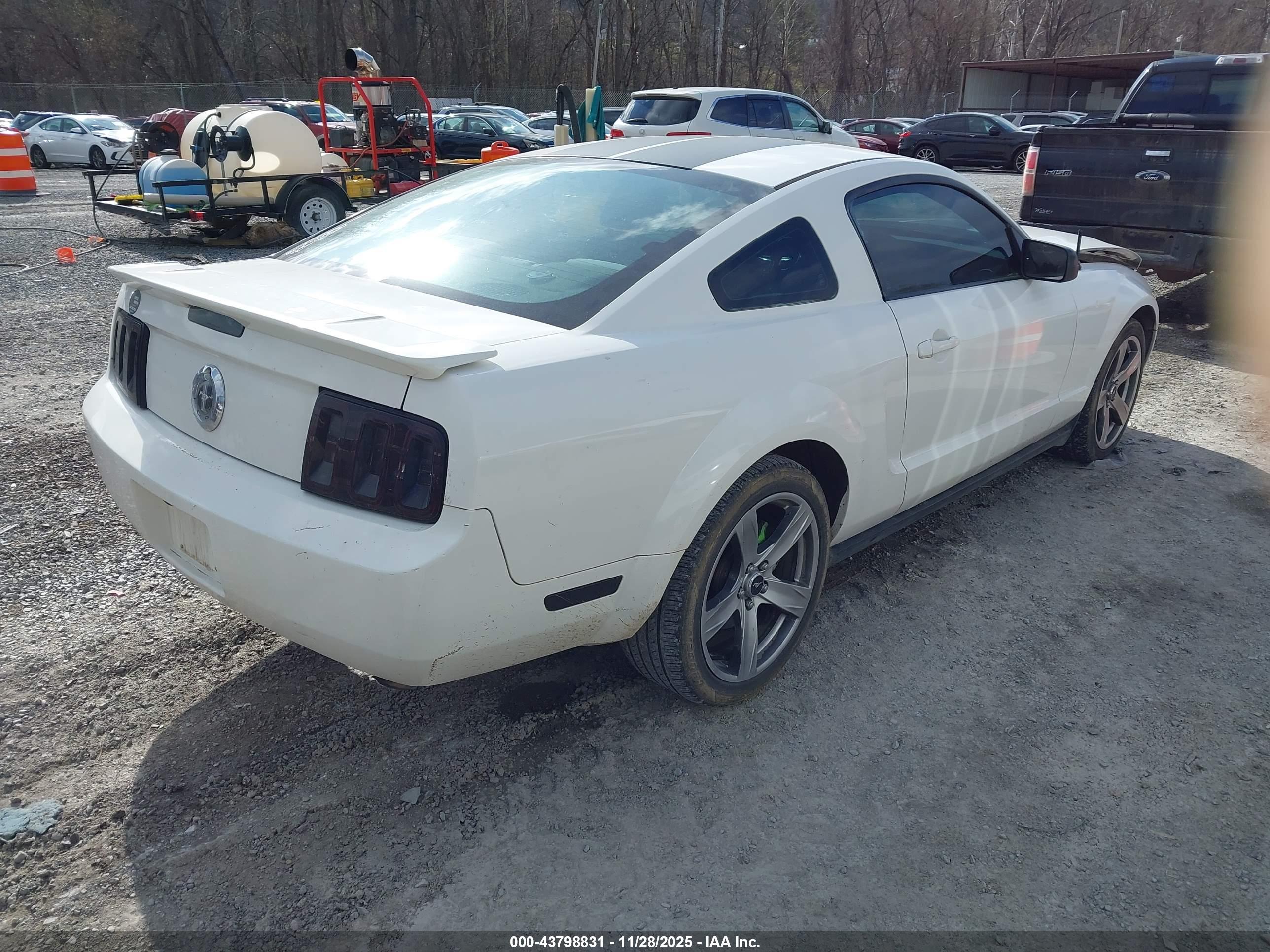 FORD MUSTANG image 4
