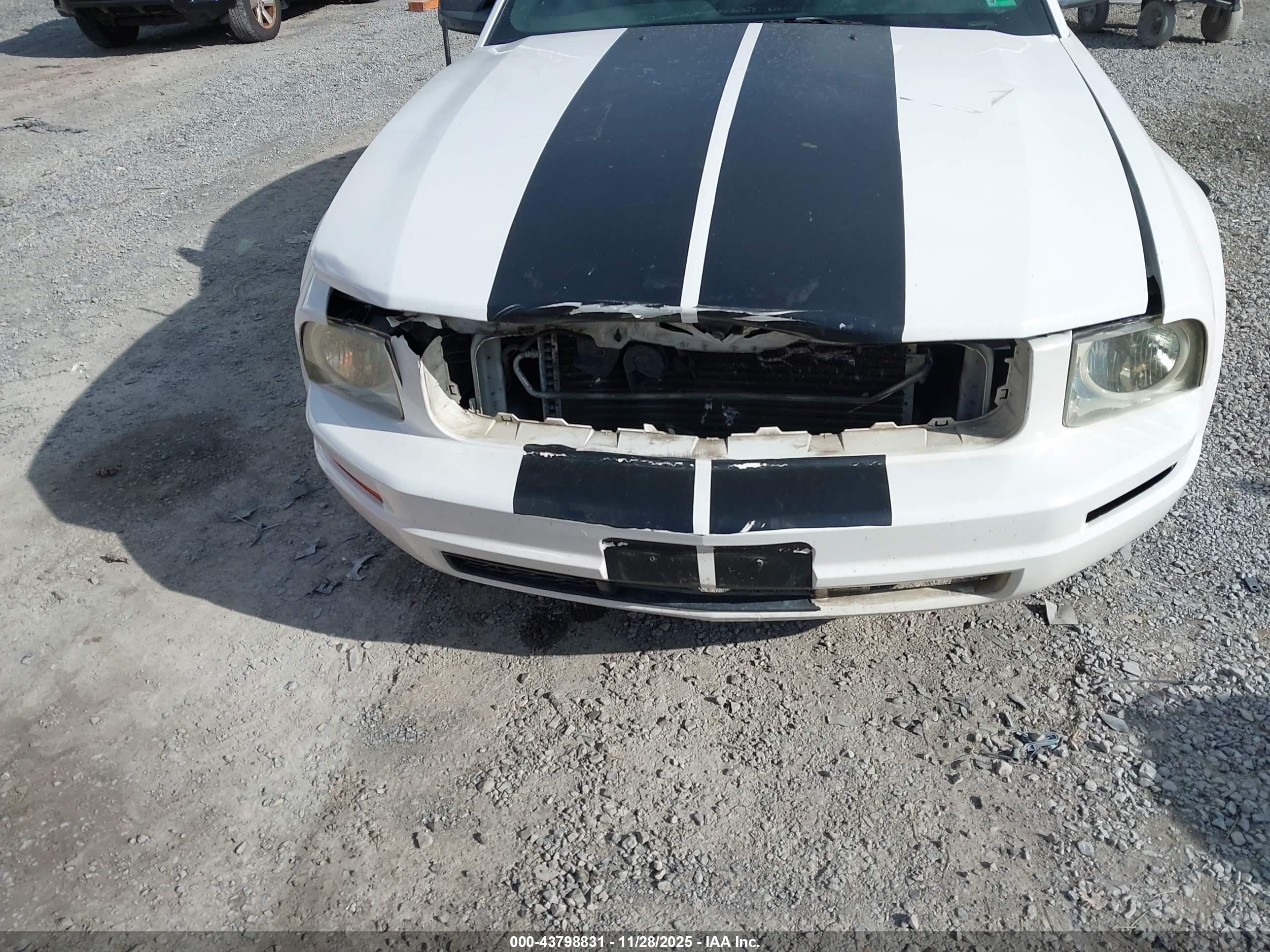FORD MUSTANG image 6
