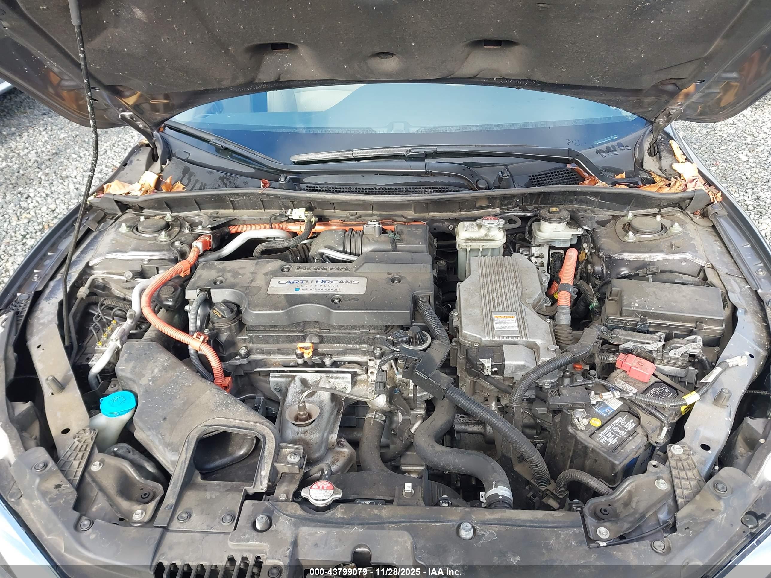HONDA ACCORD image 10