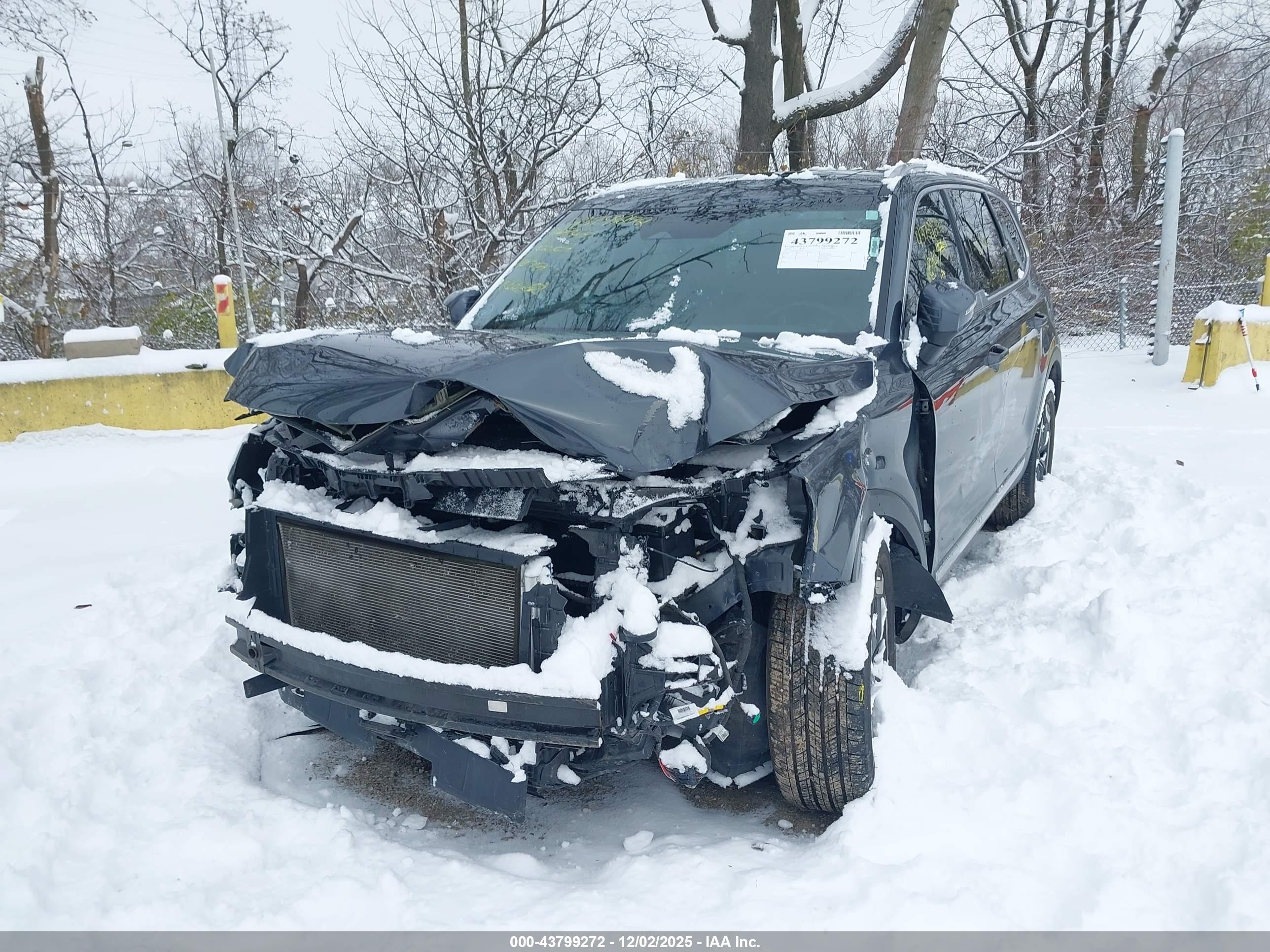 KIA TELLURIDE image 2