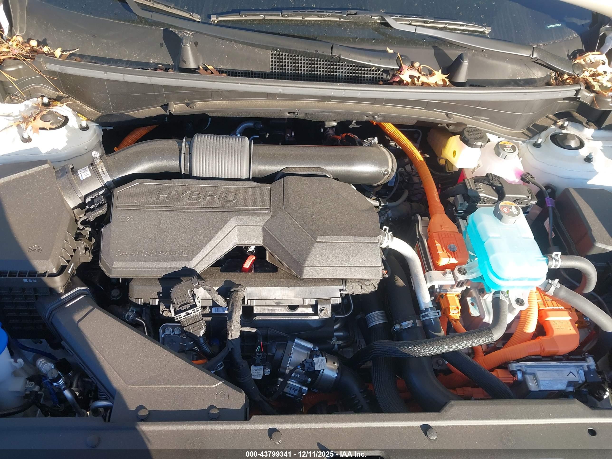 KIA SPORTAGE image 10