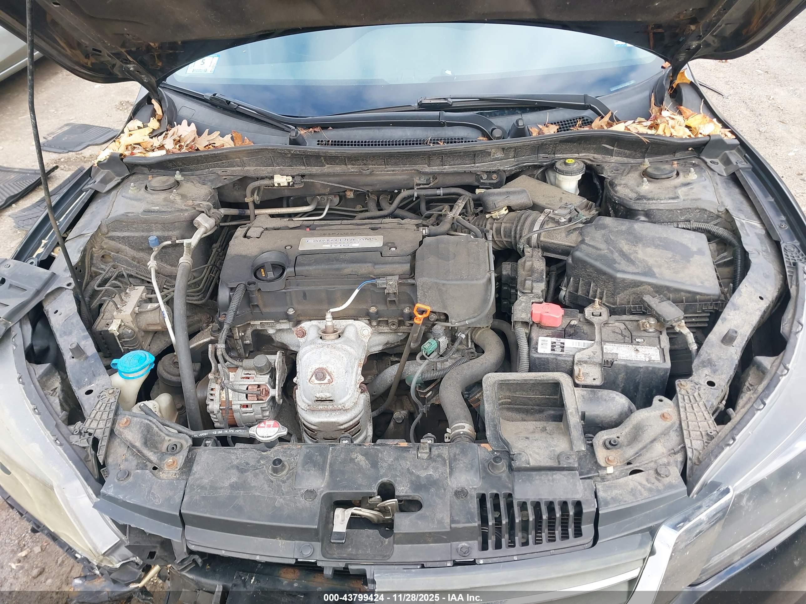 HONDA ACCORD image 10