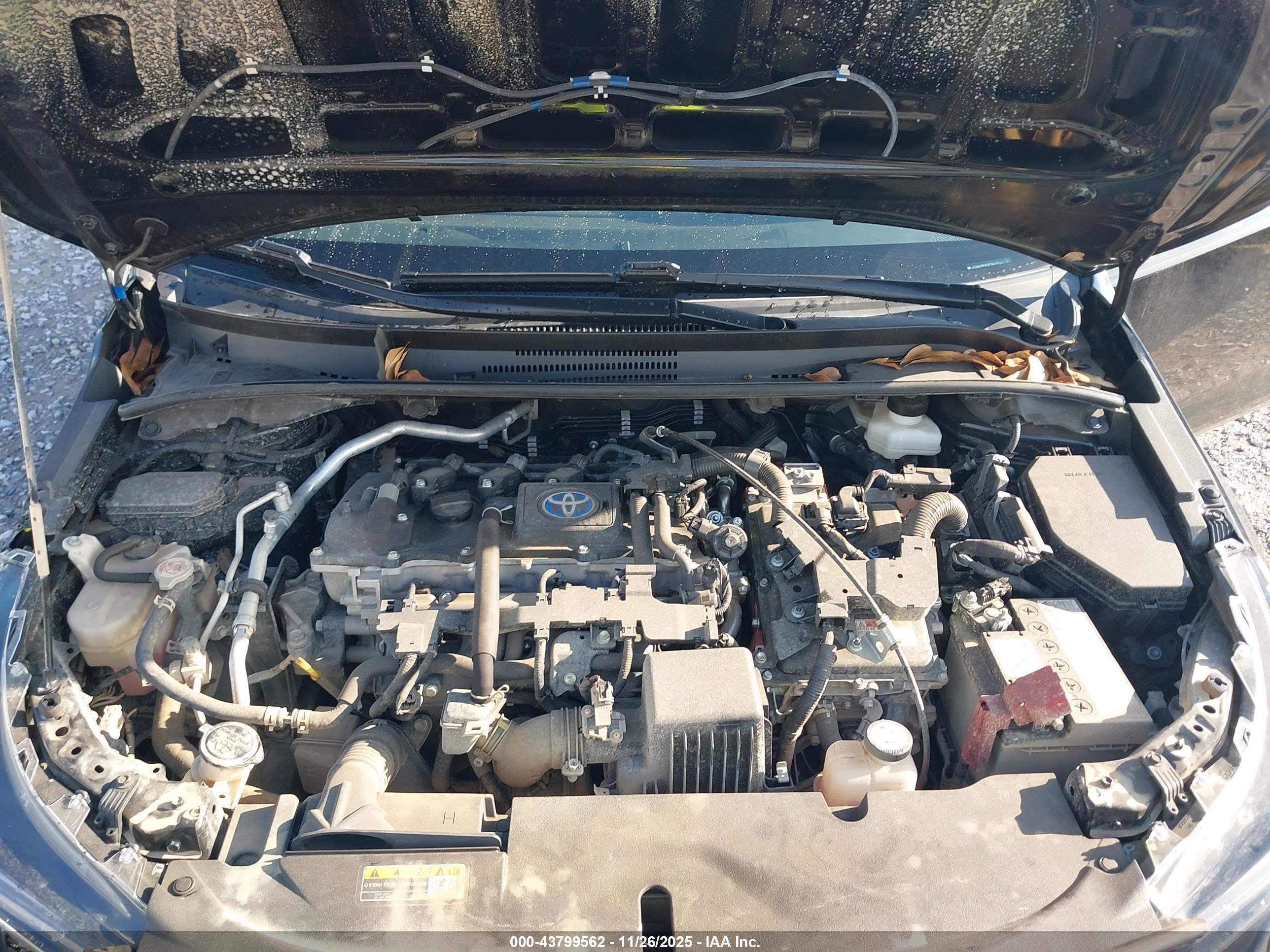 TOYOTA COROLLA image 10