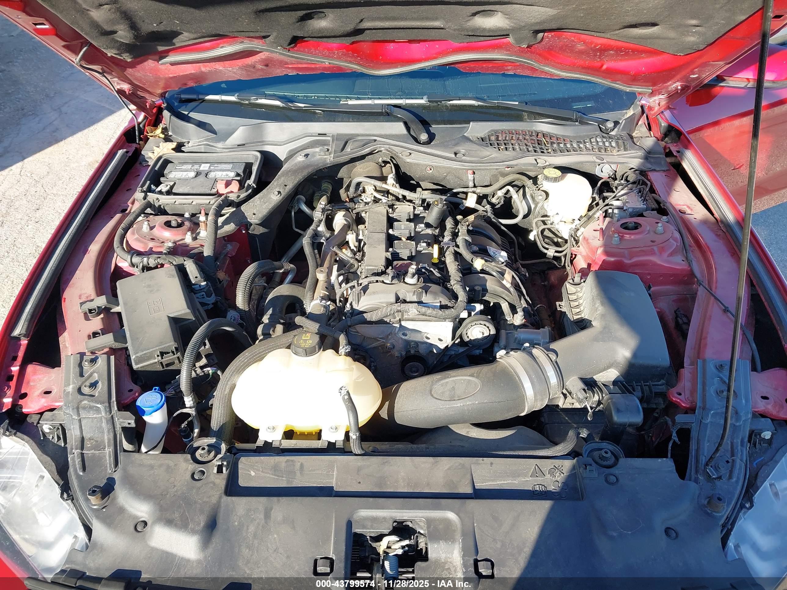 FORD MUSTANG image 10