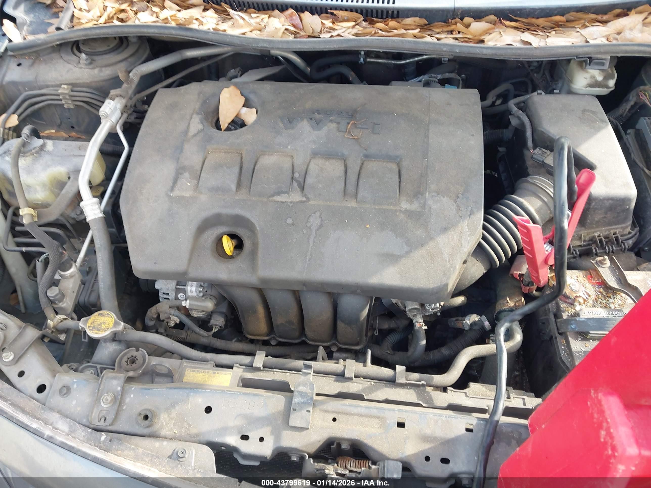 TOYOTA COROLLA image 10