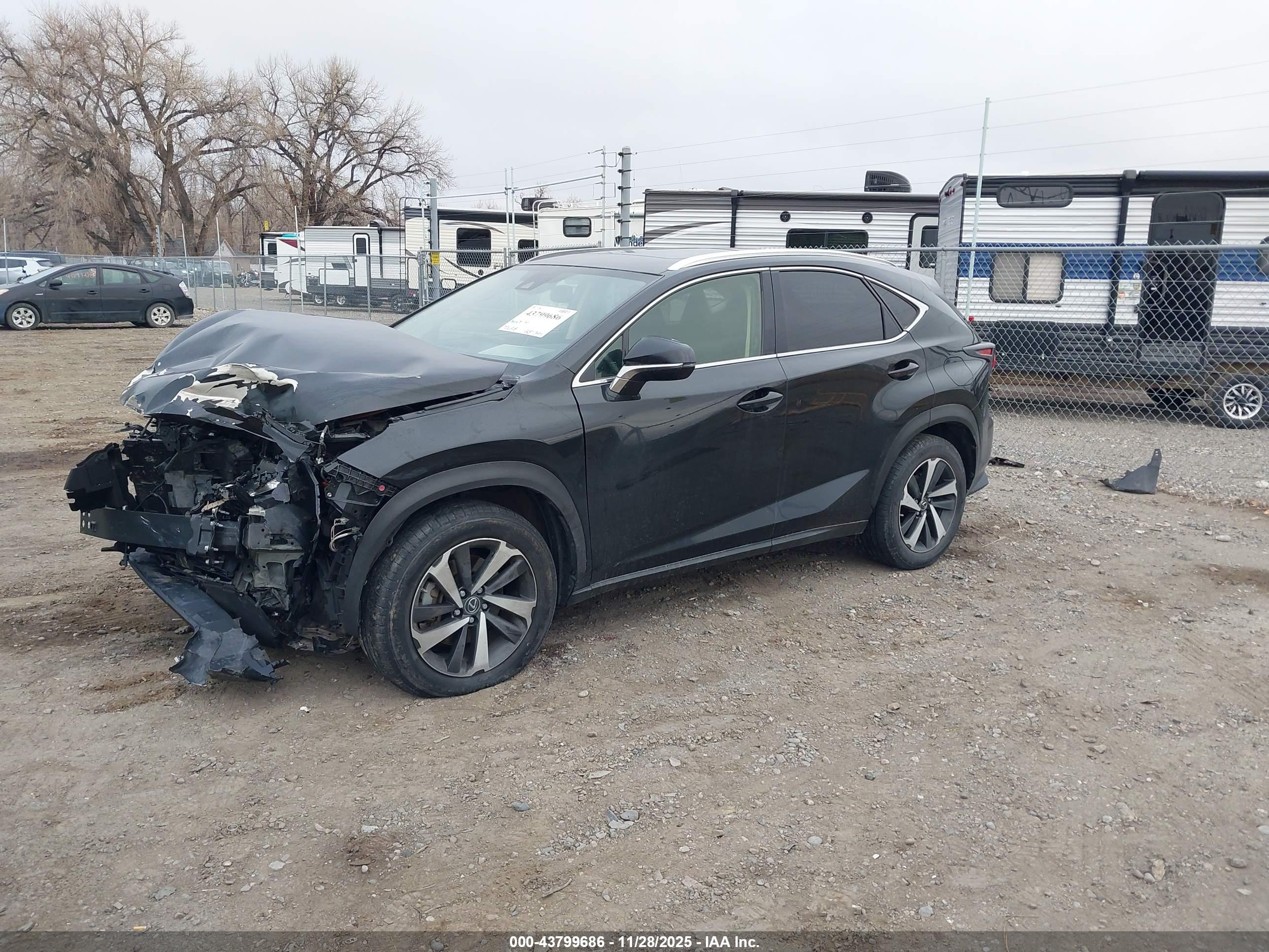 LEXUS NX image 2