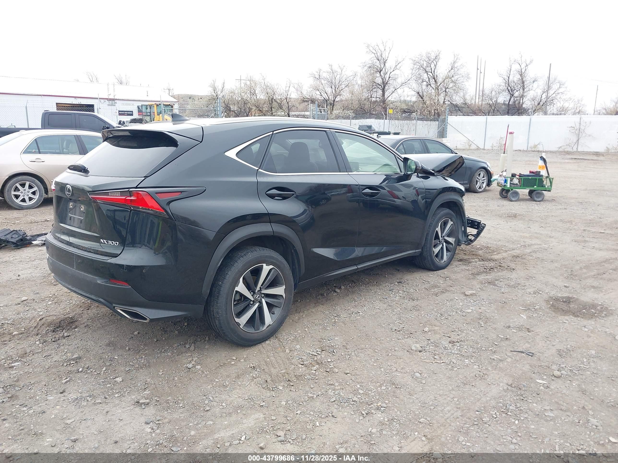 LEXUS NX image 4