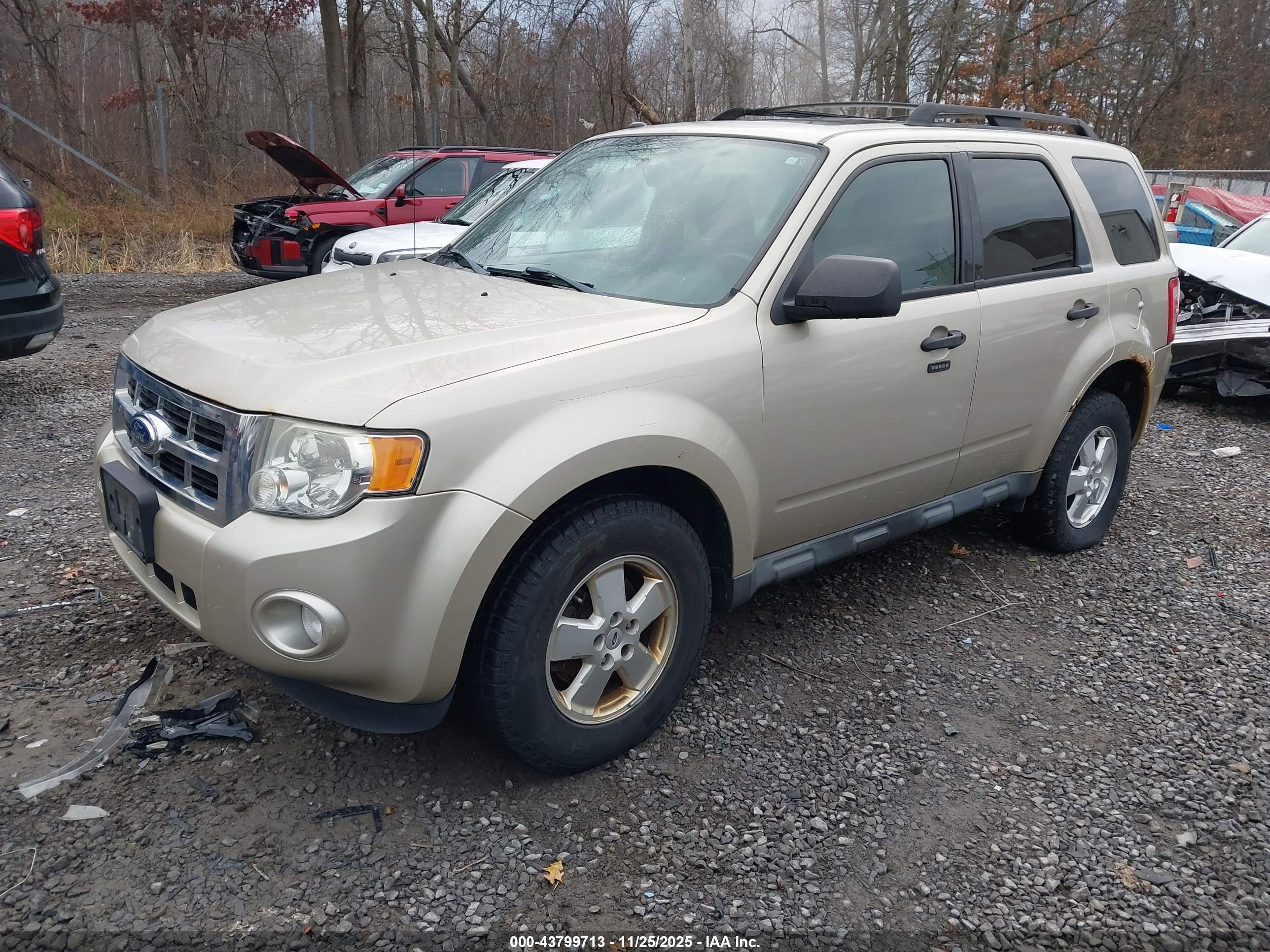 FORD ESCAPE image 2