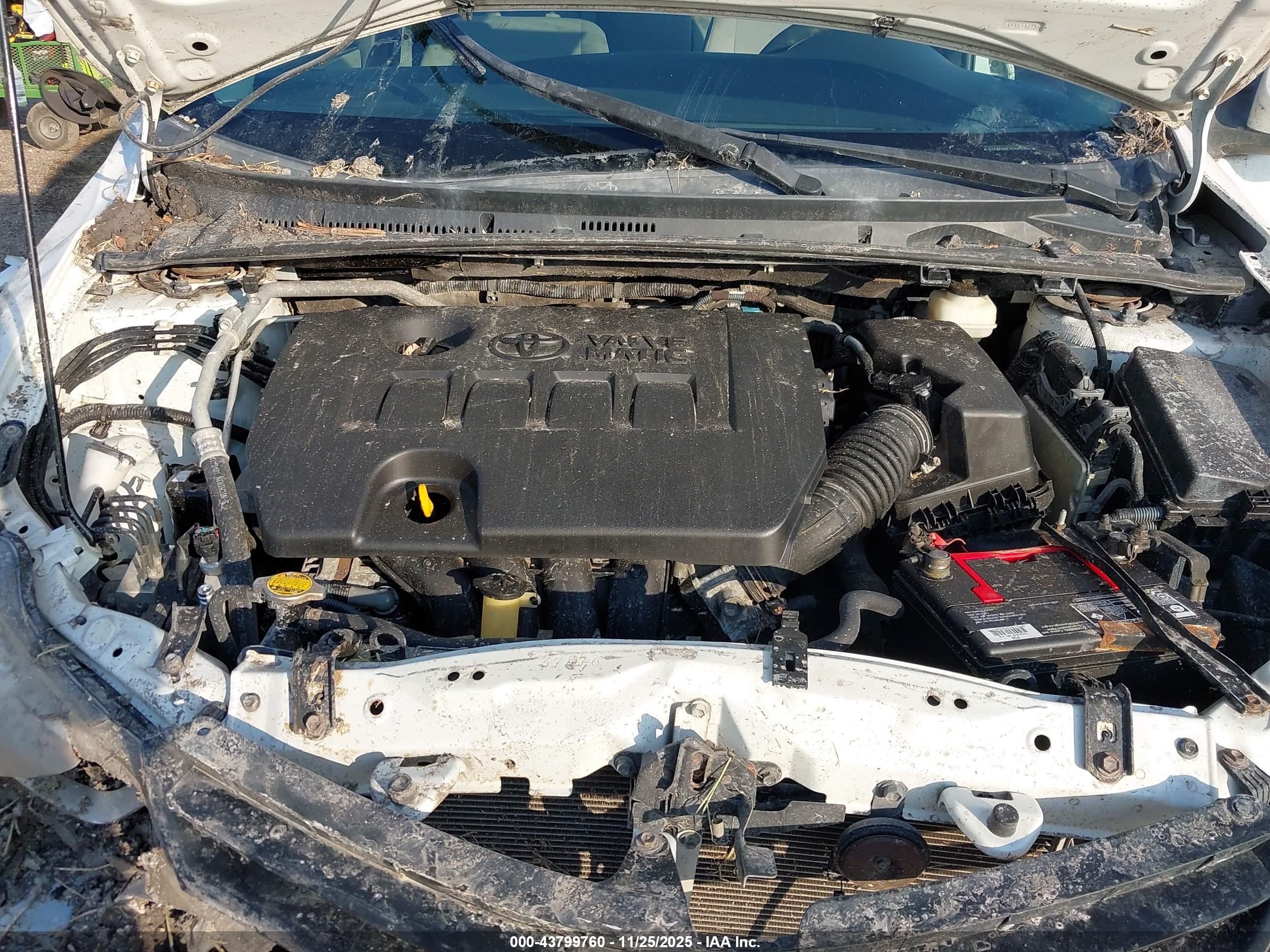 TOYOTA COROLLA image 10