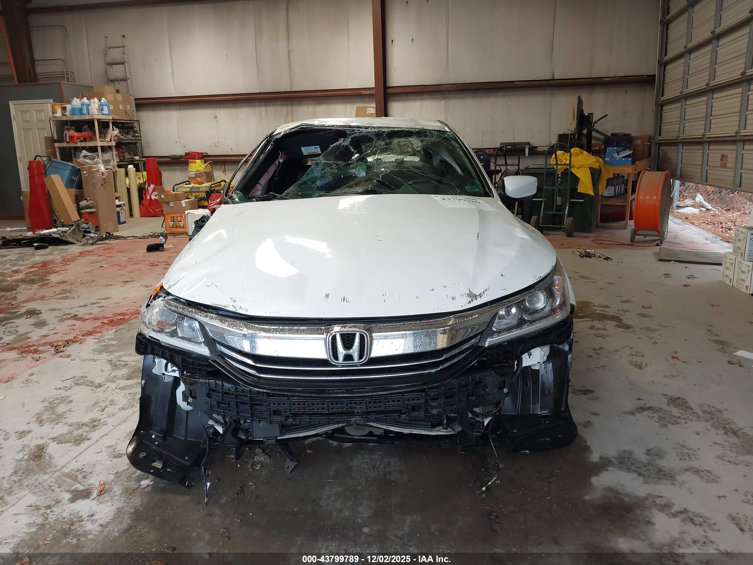 HONDA ACCORD image 6