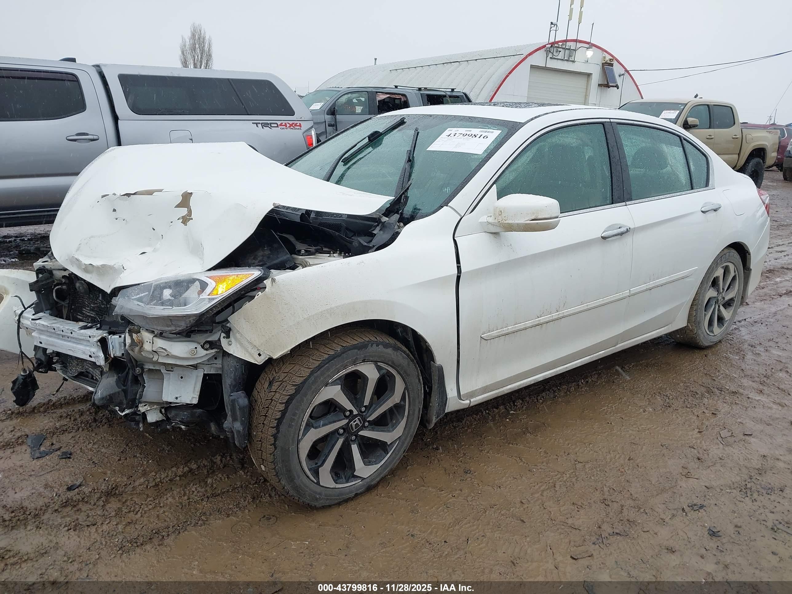 HONDA ACCORD image 2