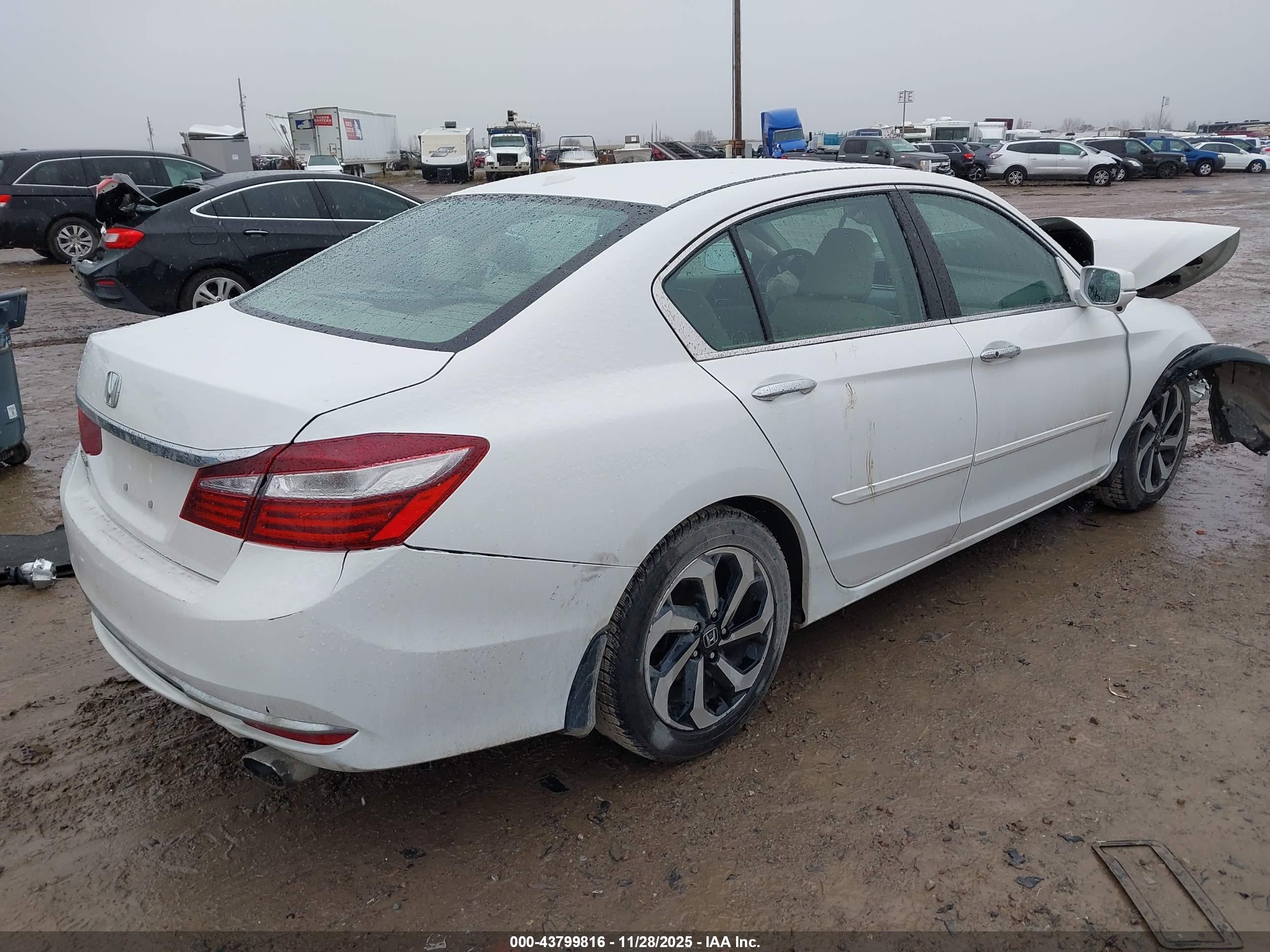 HONDA ACCORD image 4