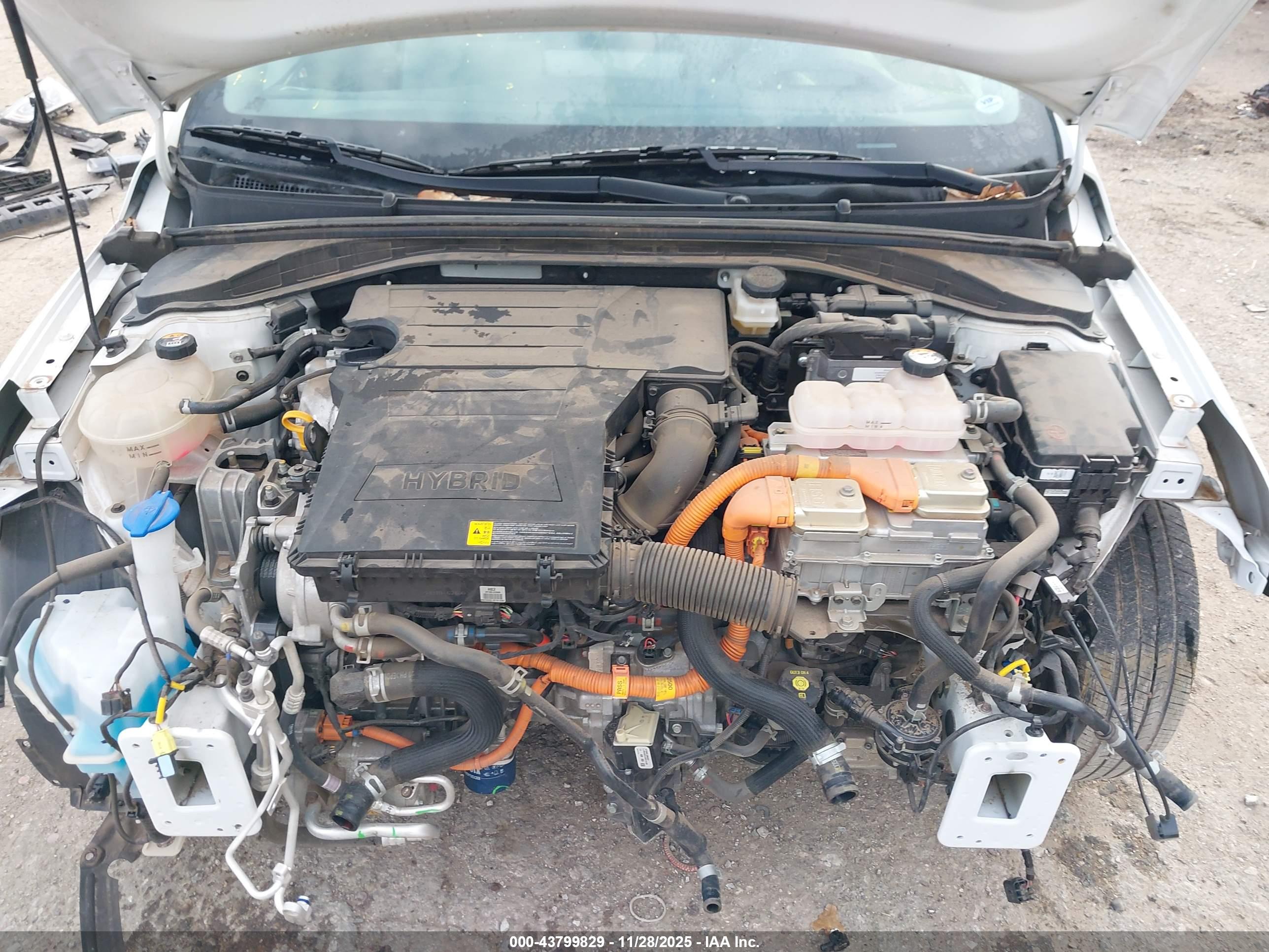 HYUNDAI IONIQ image 10