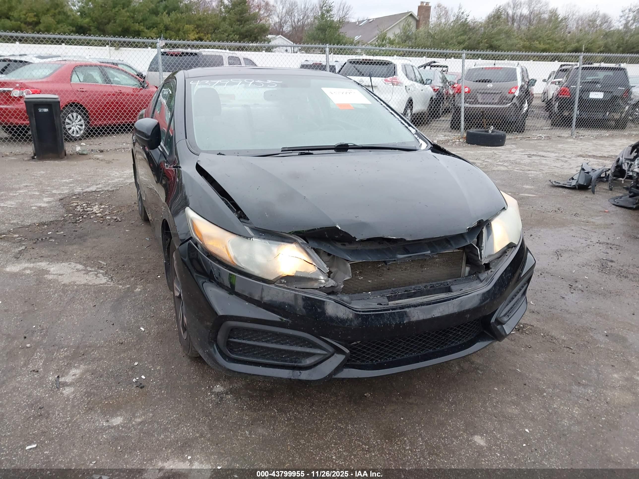 HONDA CIVIC image 6