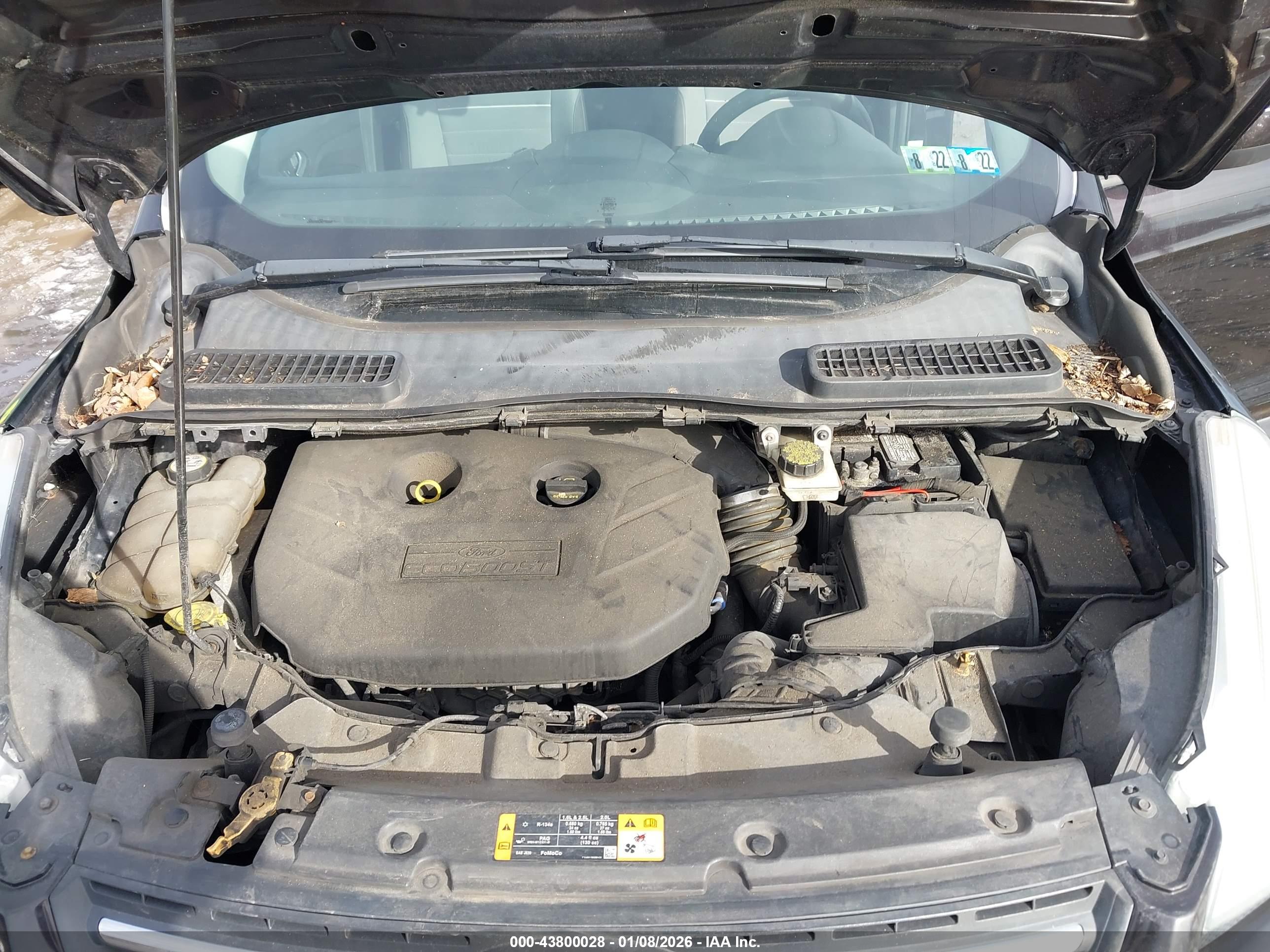 FORD ESCAPE image 10