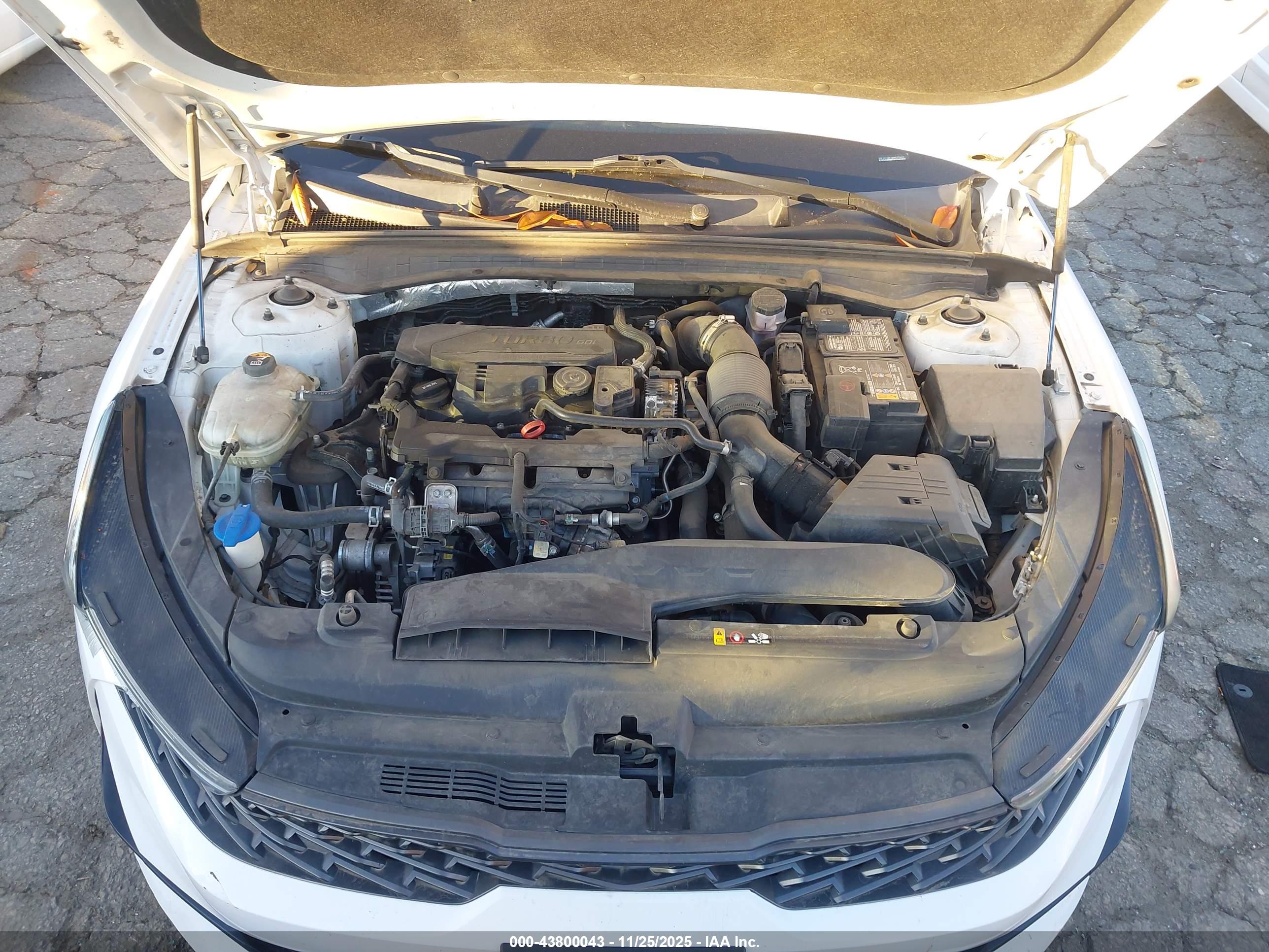 KIA K5 image 10