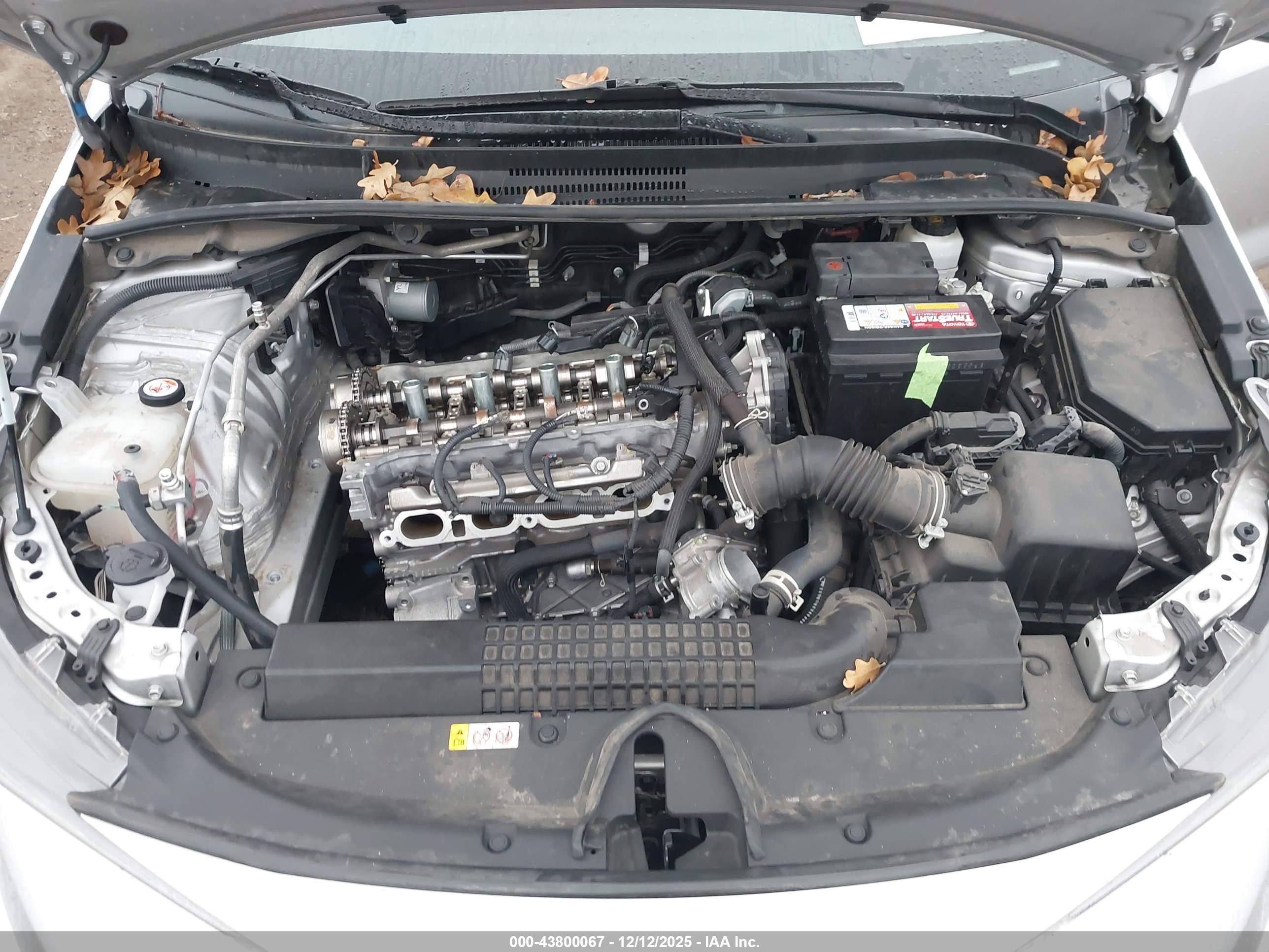 TOYOTA COROLLA image 10