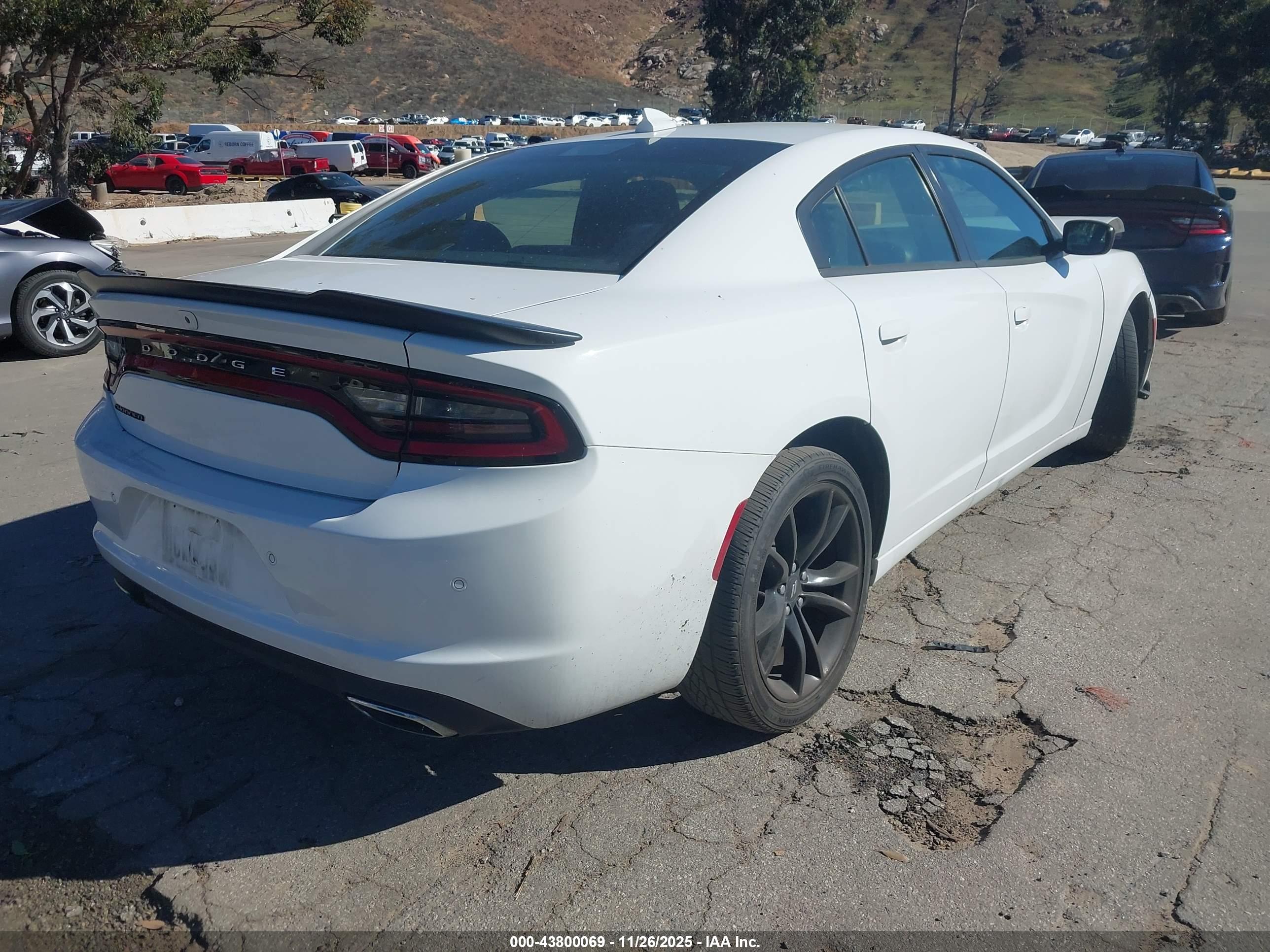 DODGE CHARGER image 4