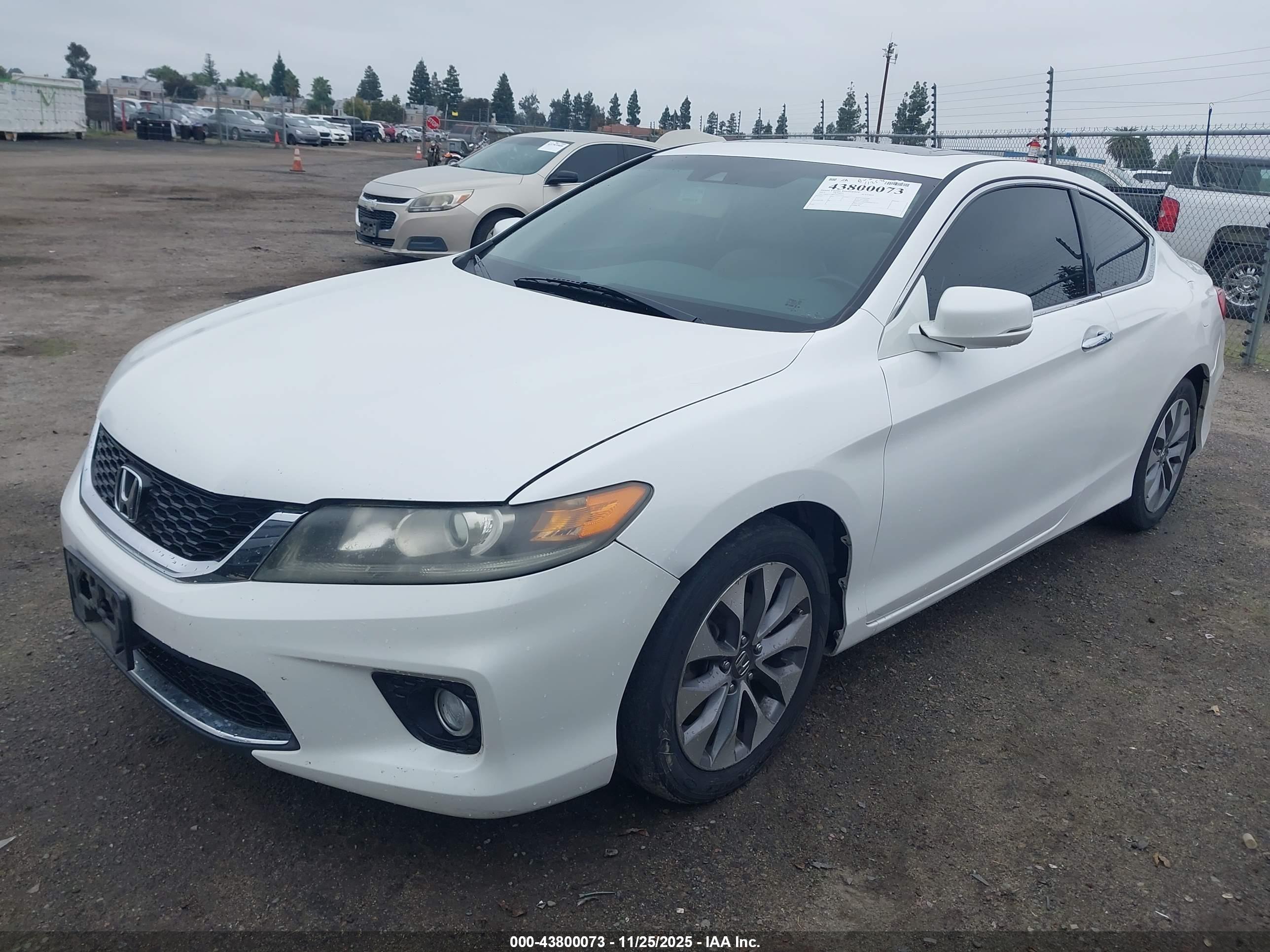 HONDA ACCORD image 2