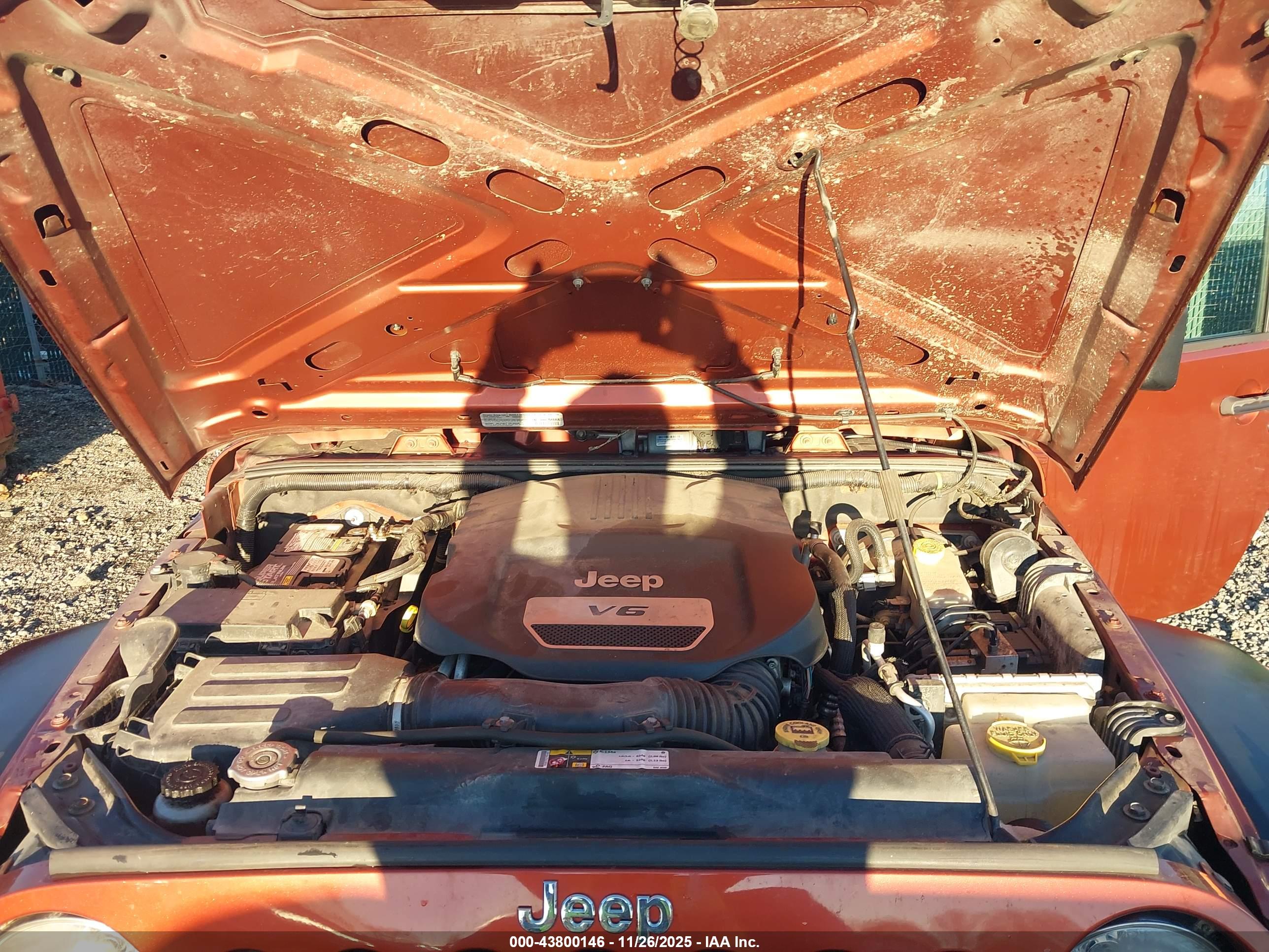 JEEP WRANGLER image 10