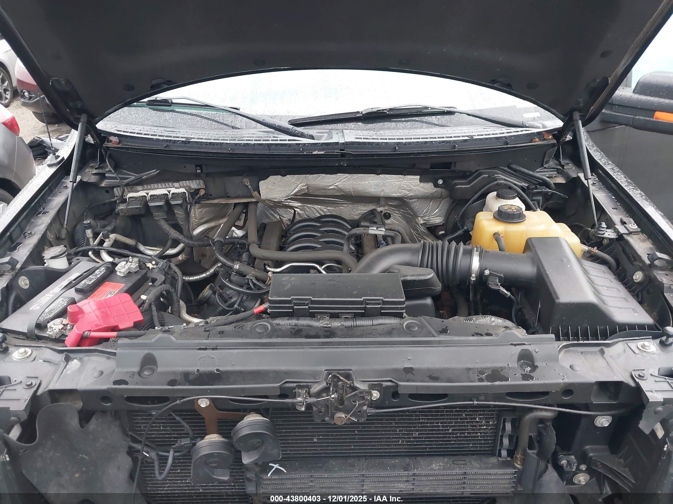 FORD F-150 image 10