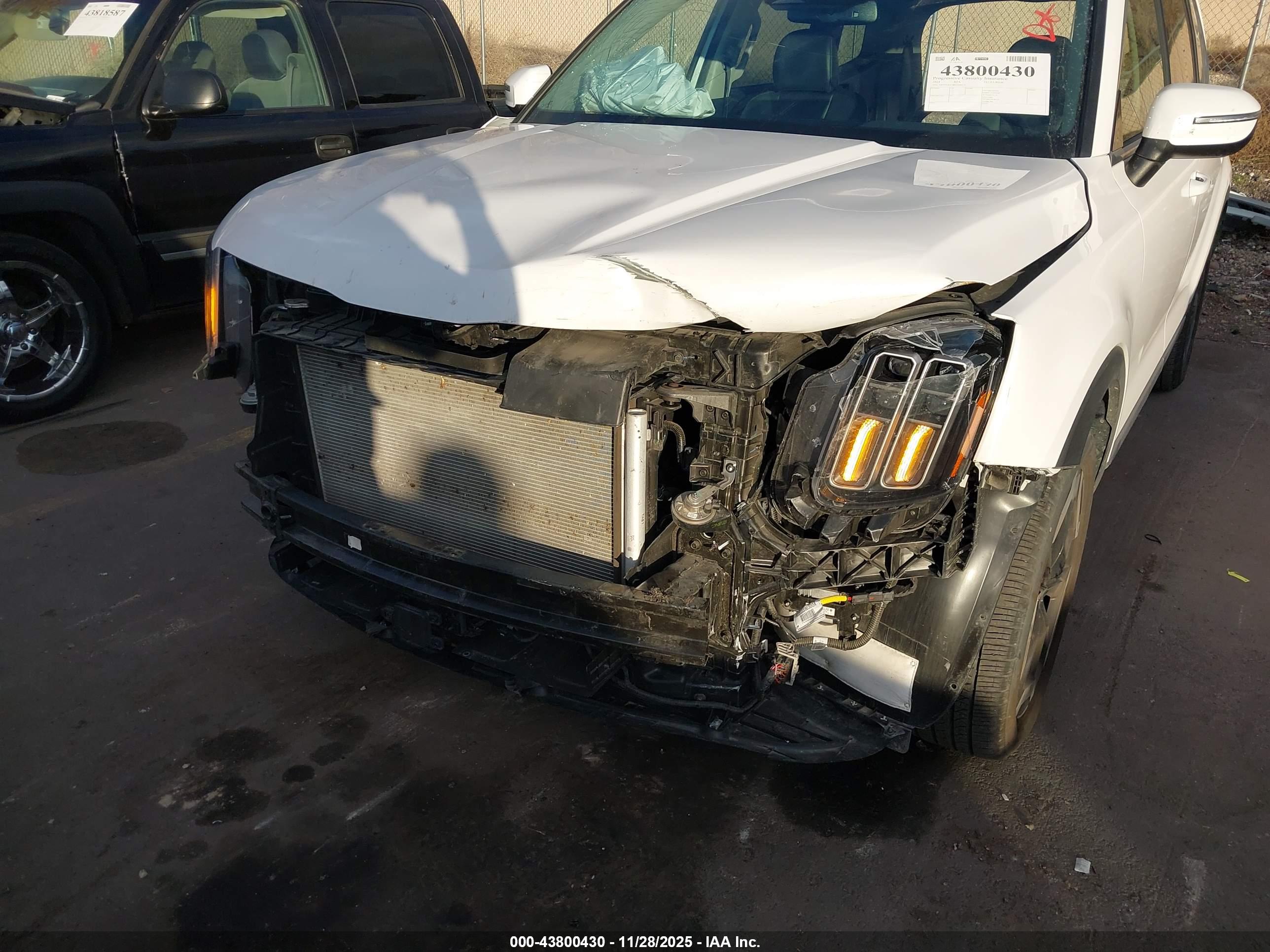 KIA TELLURIDE image 6