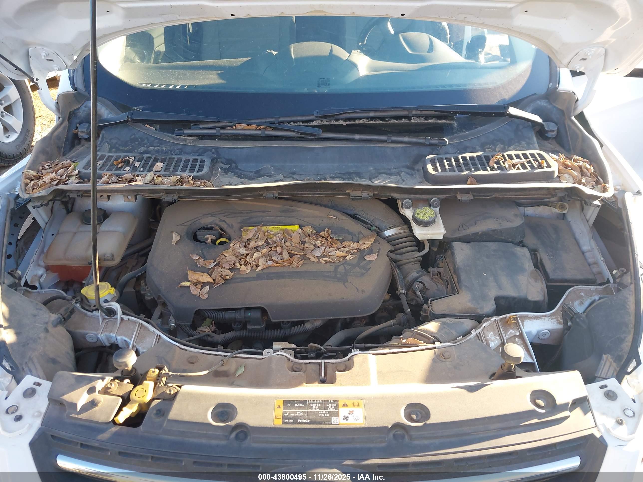 FORD ESCAPE image 10