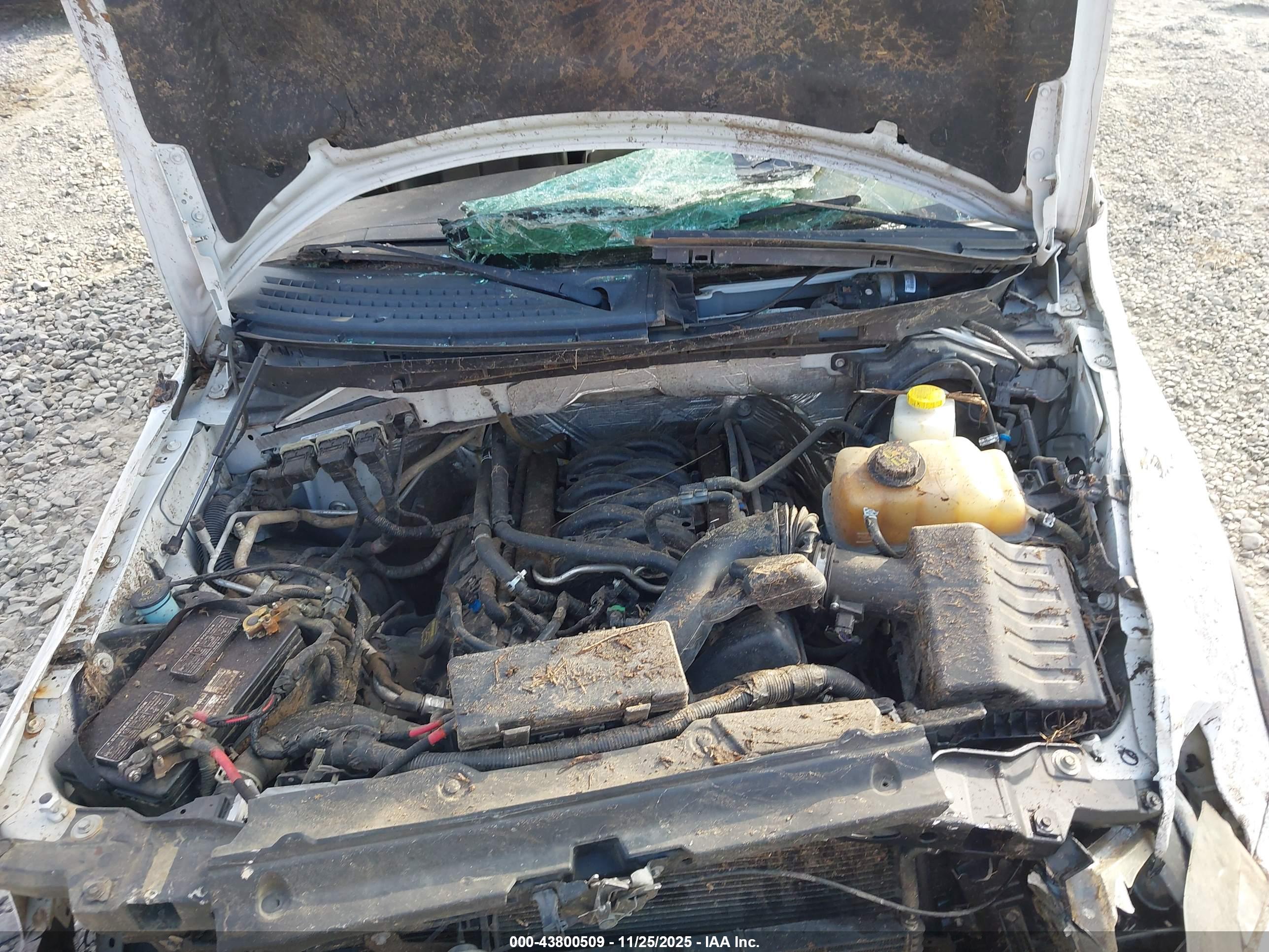 FORD F-150 image 10