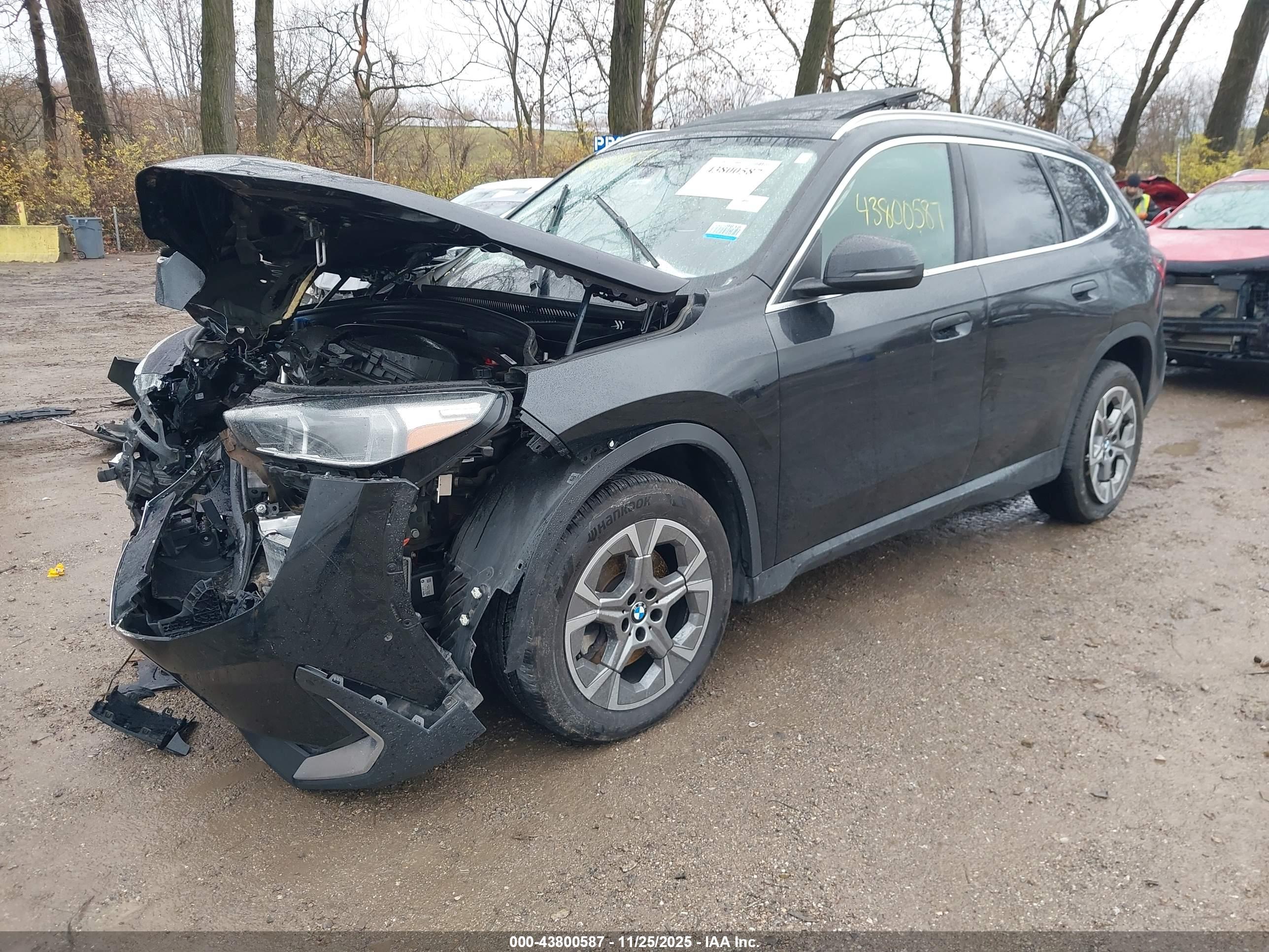 BMW X1 image 2