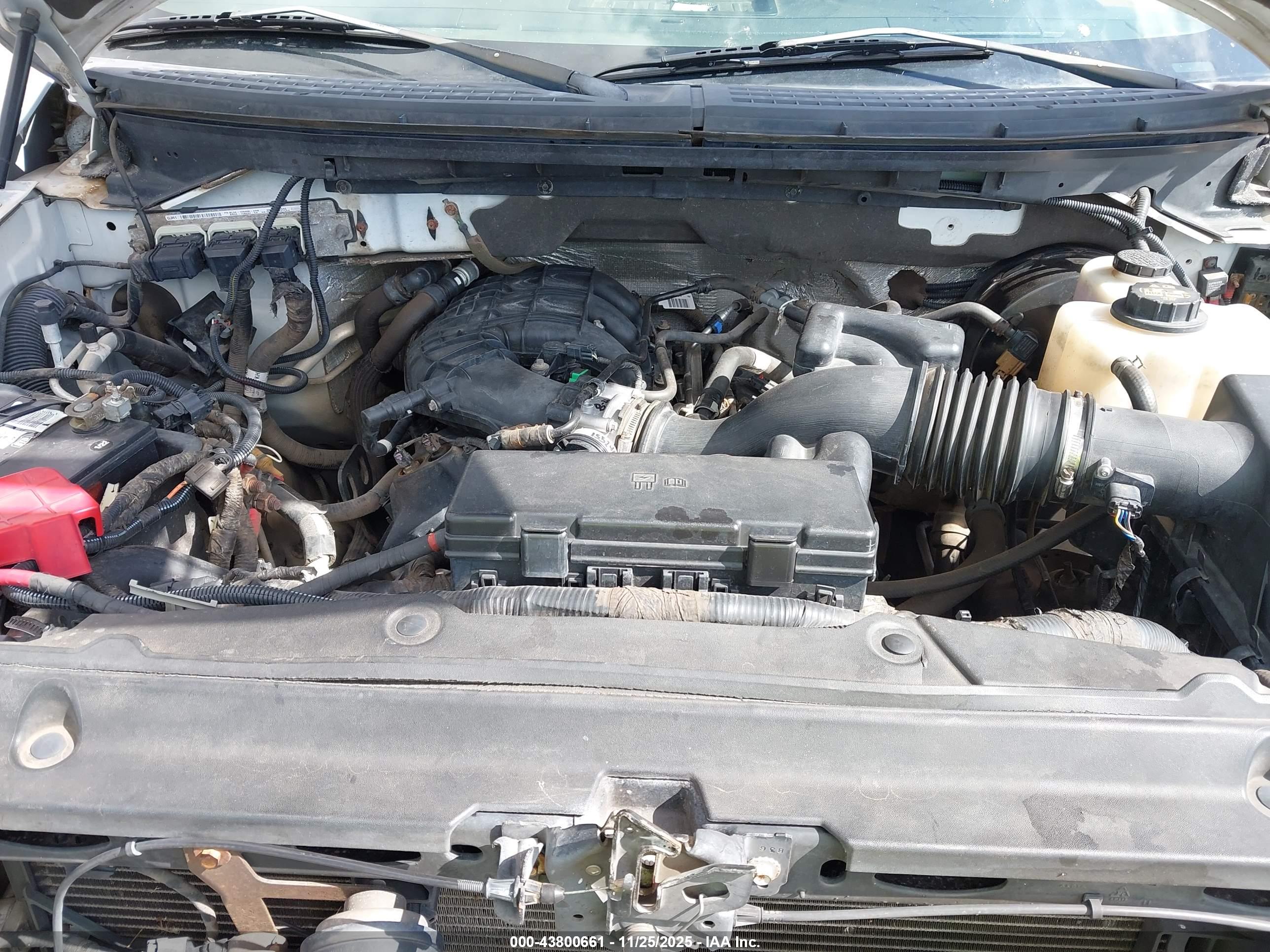 FORD F-150 image 10