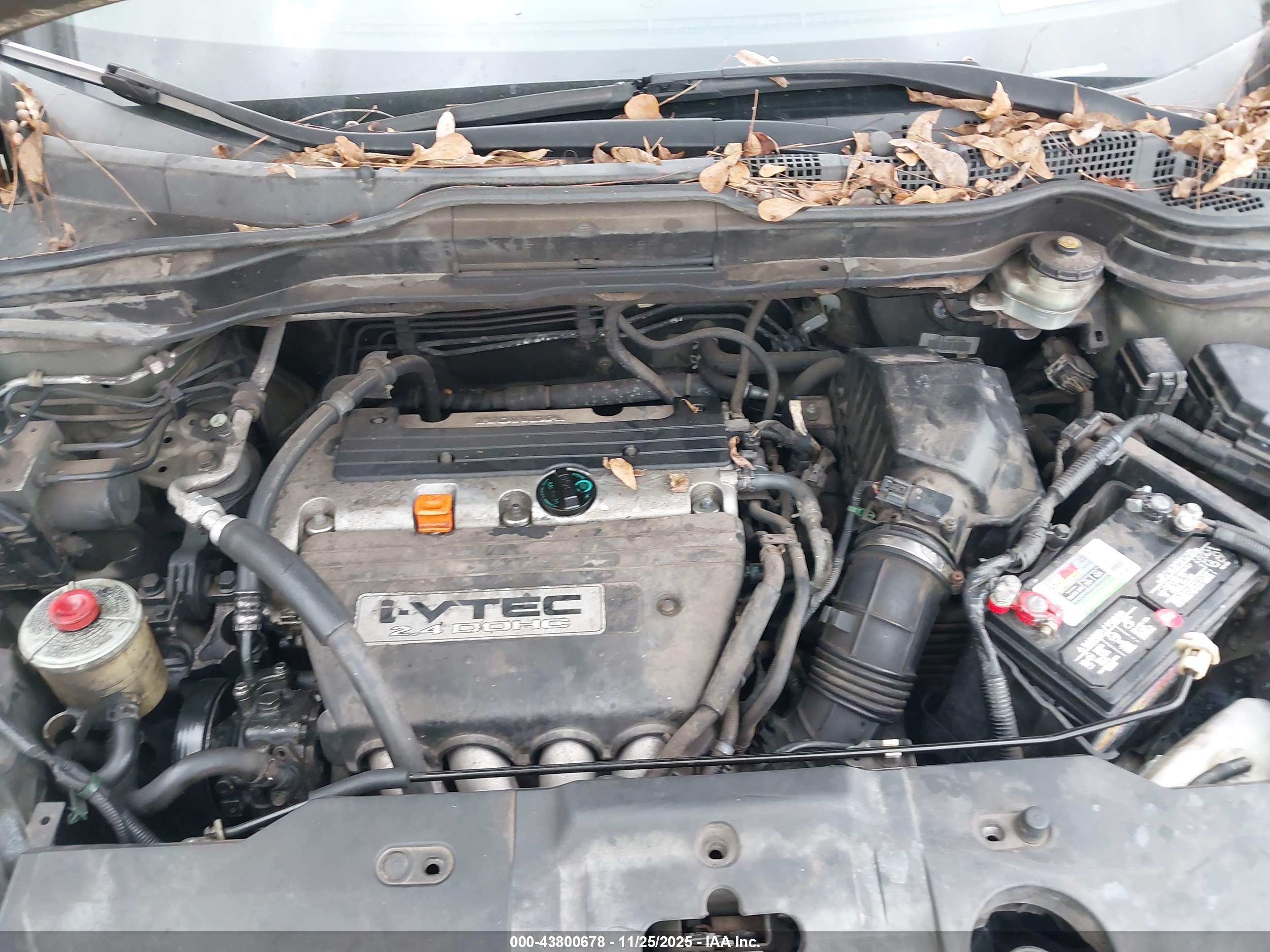 HONDA CR-V image 10