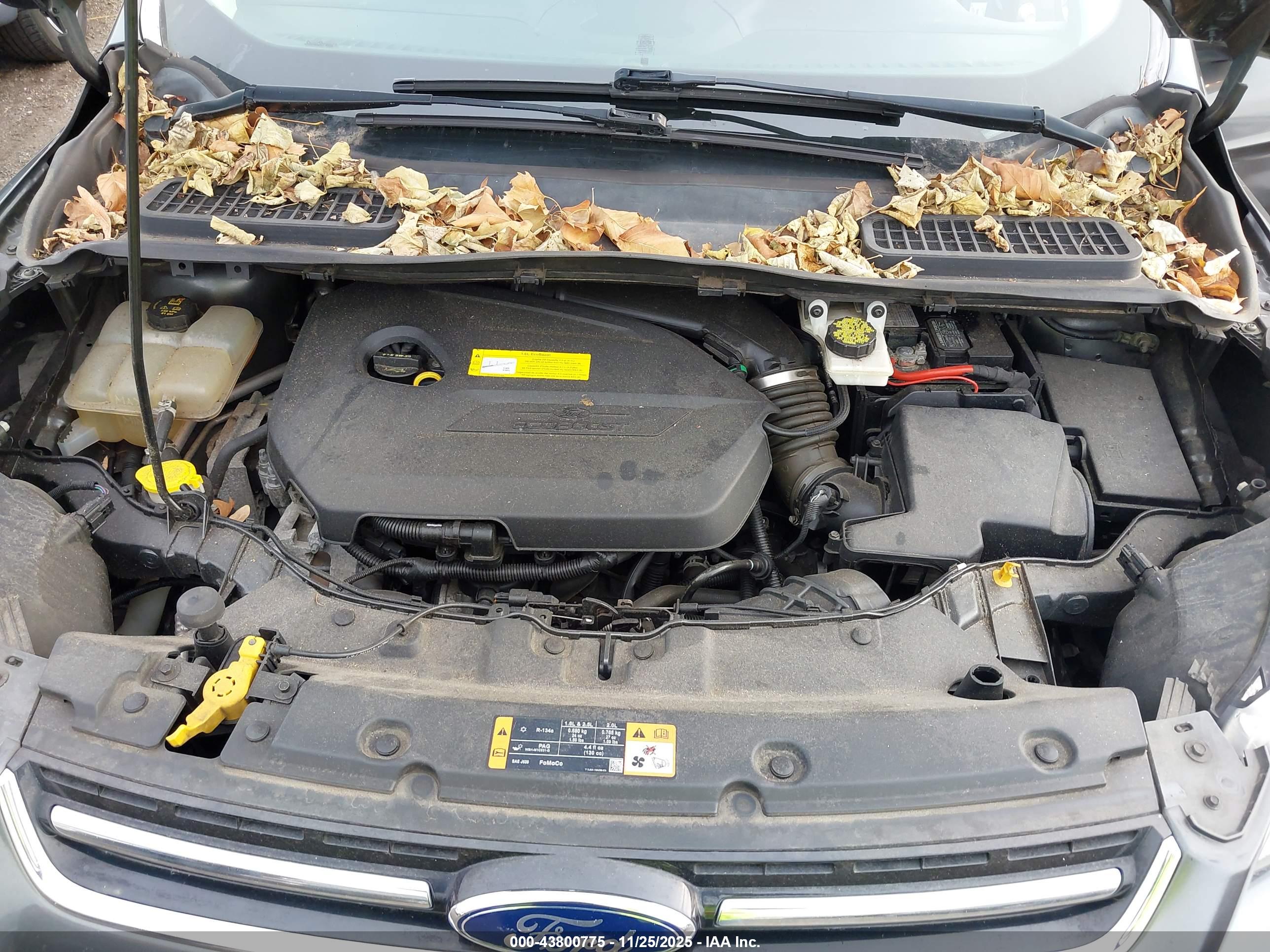 FORD ESCAPE image 10