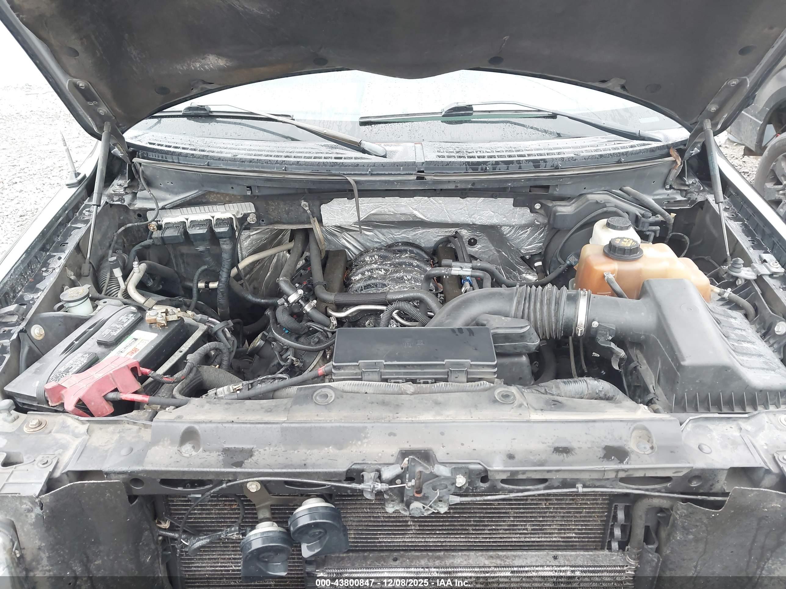 FORD F-150 image 10