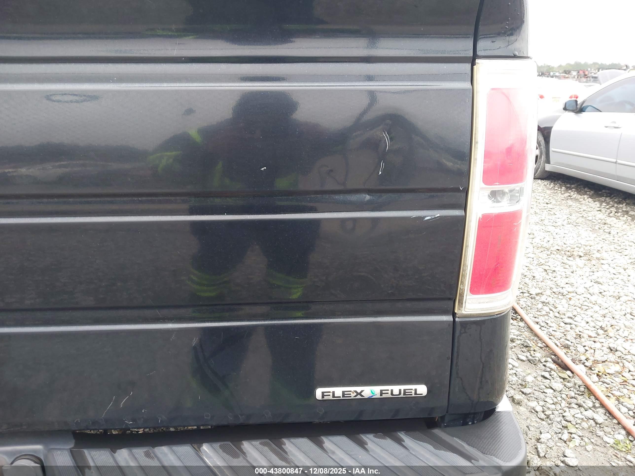 FORD F-150 image 6