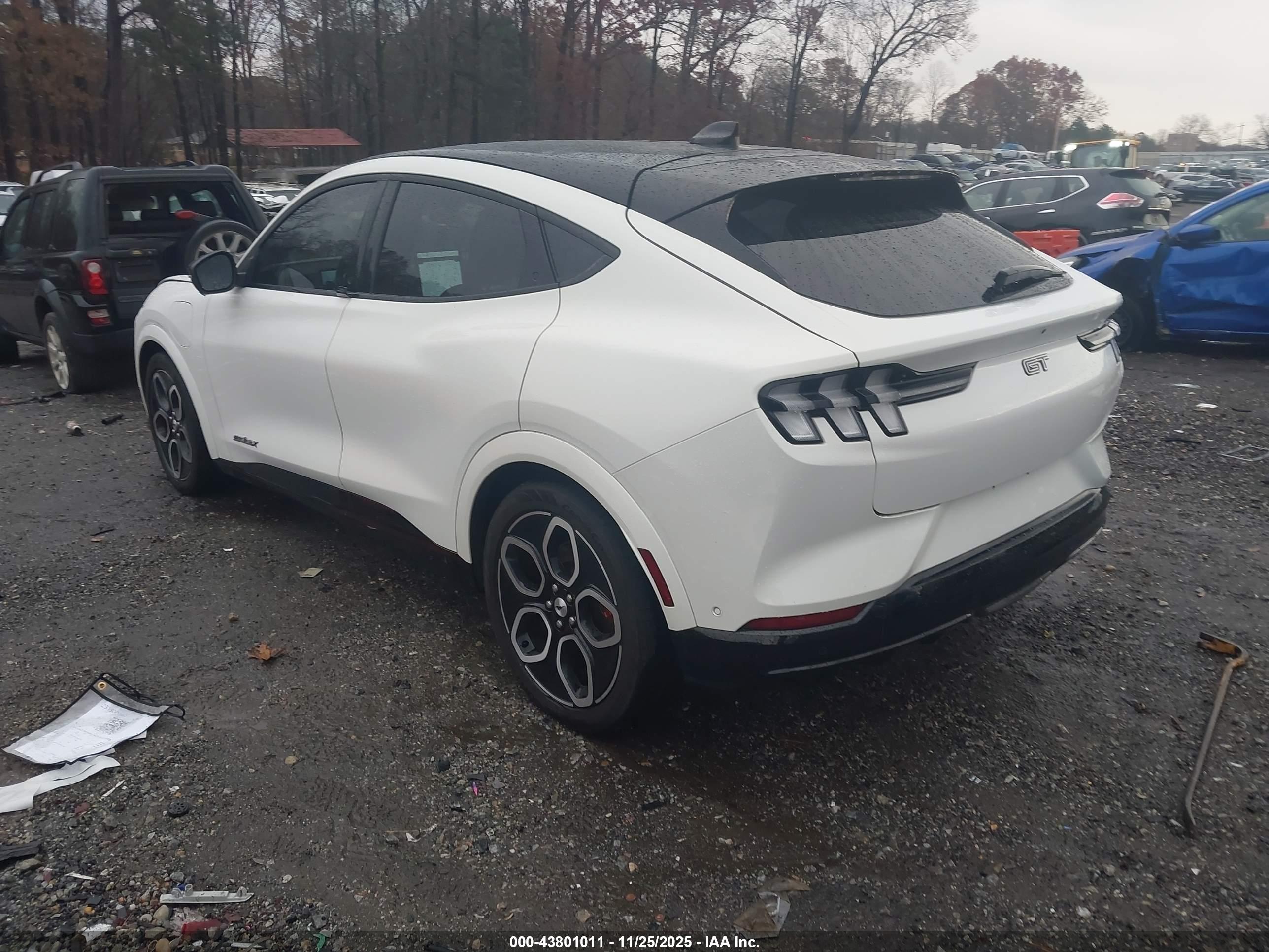 FORD MUSTANG image 3