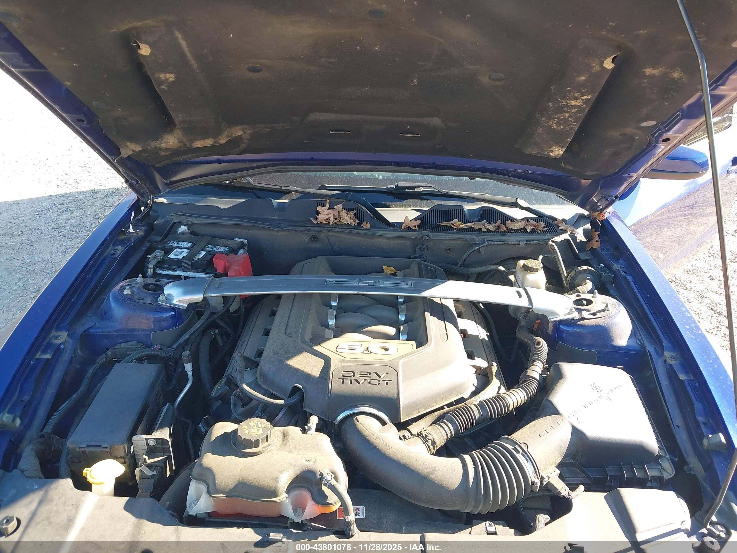 FORD MUSTANG image 10