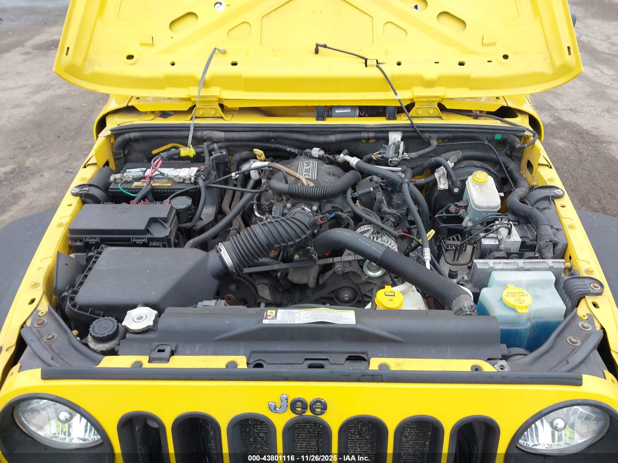 JEEP WRANGLER image 10