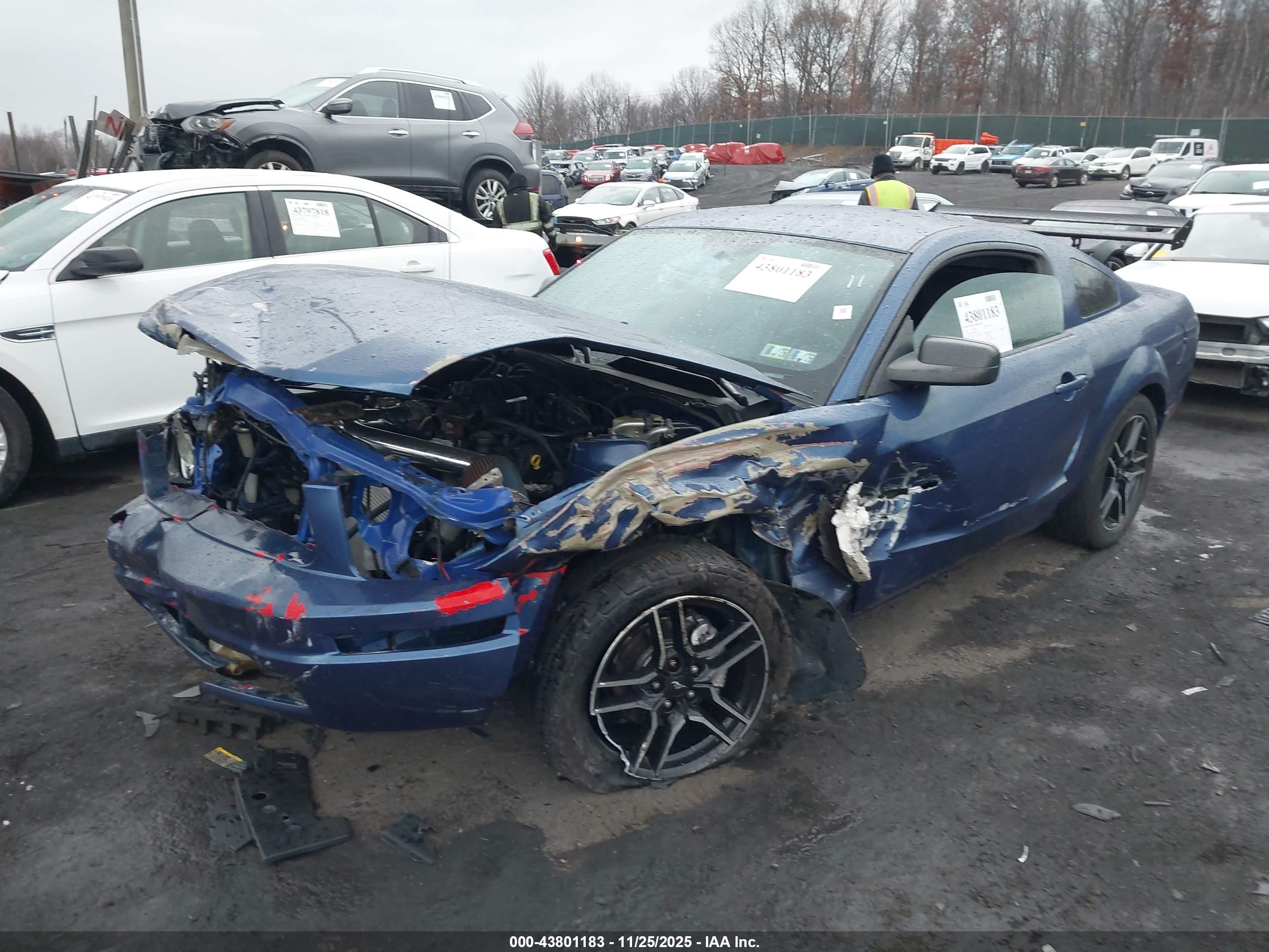 FORD MUSTANG image 2