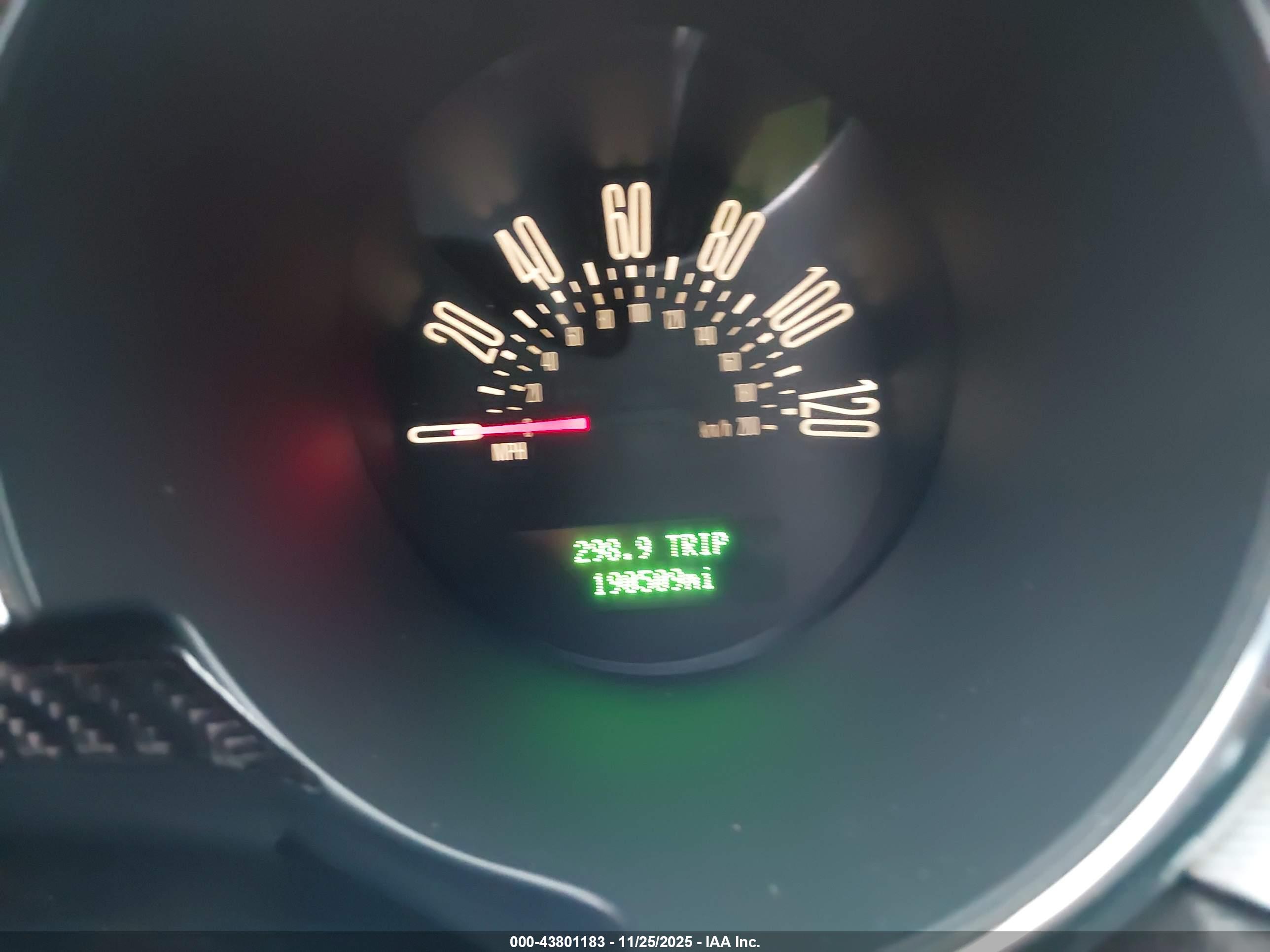 FORD MUSTANG image 7