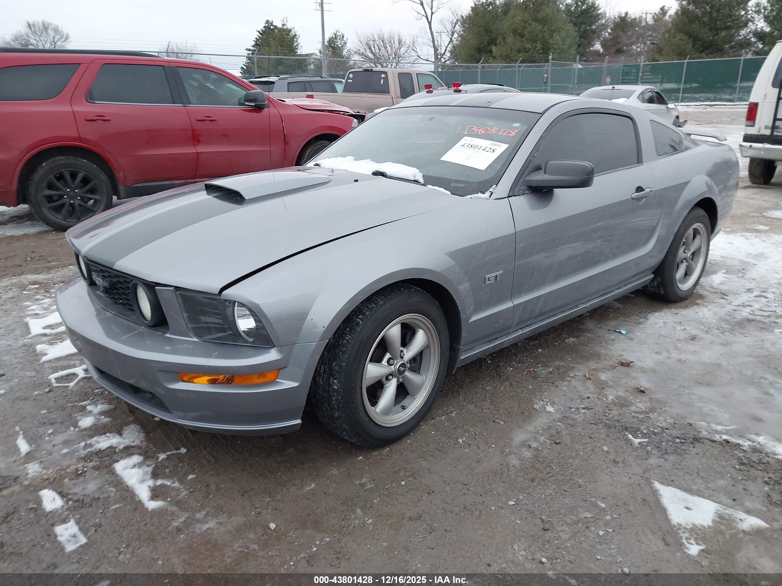 FORD MUSTANG image 2