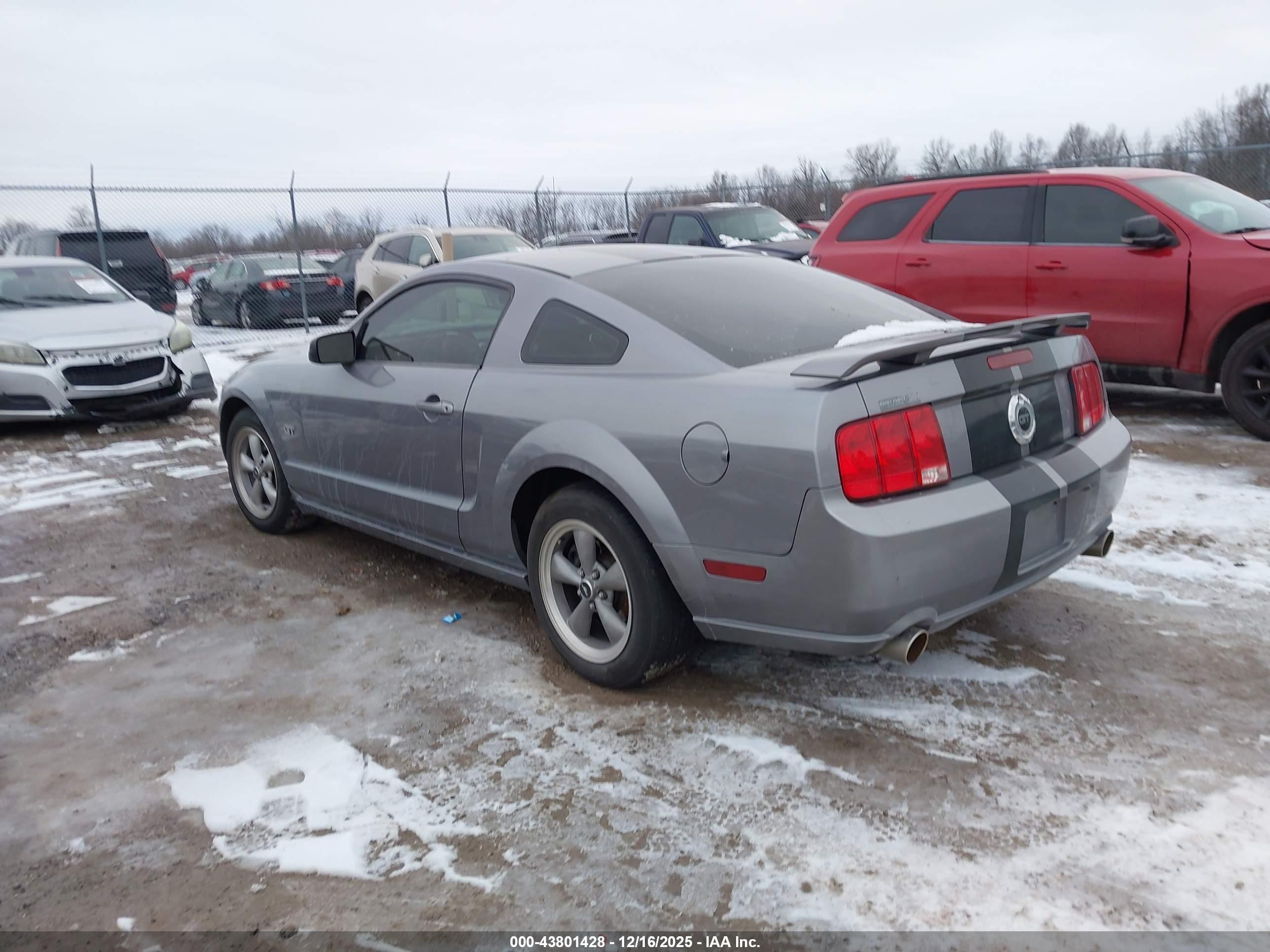 FORD MUSTANG image 3