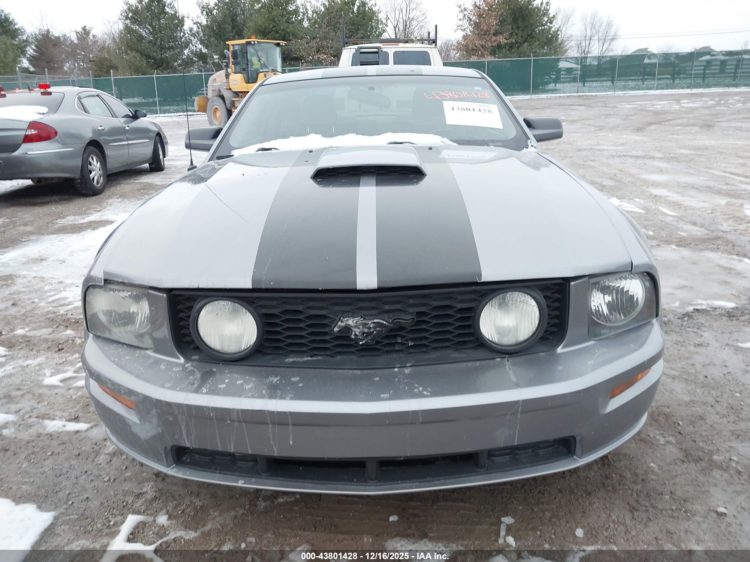 FORD MUSTANG image 6