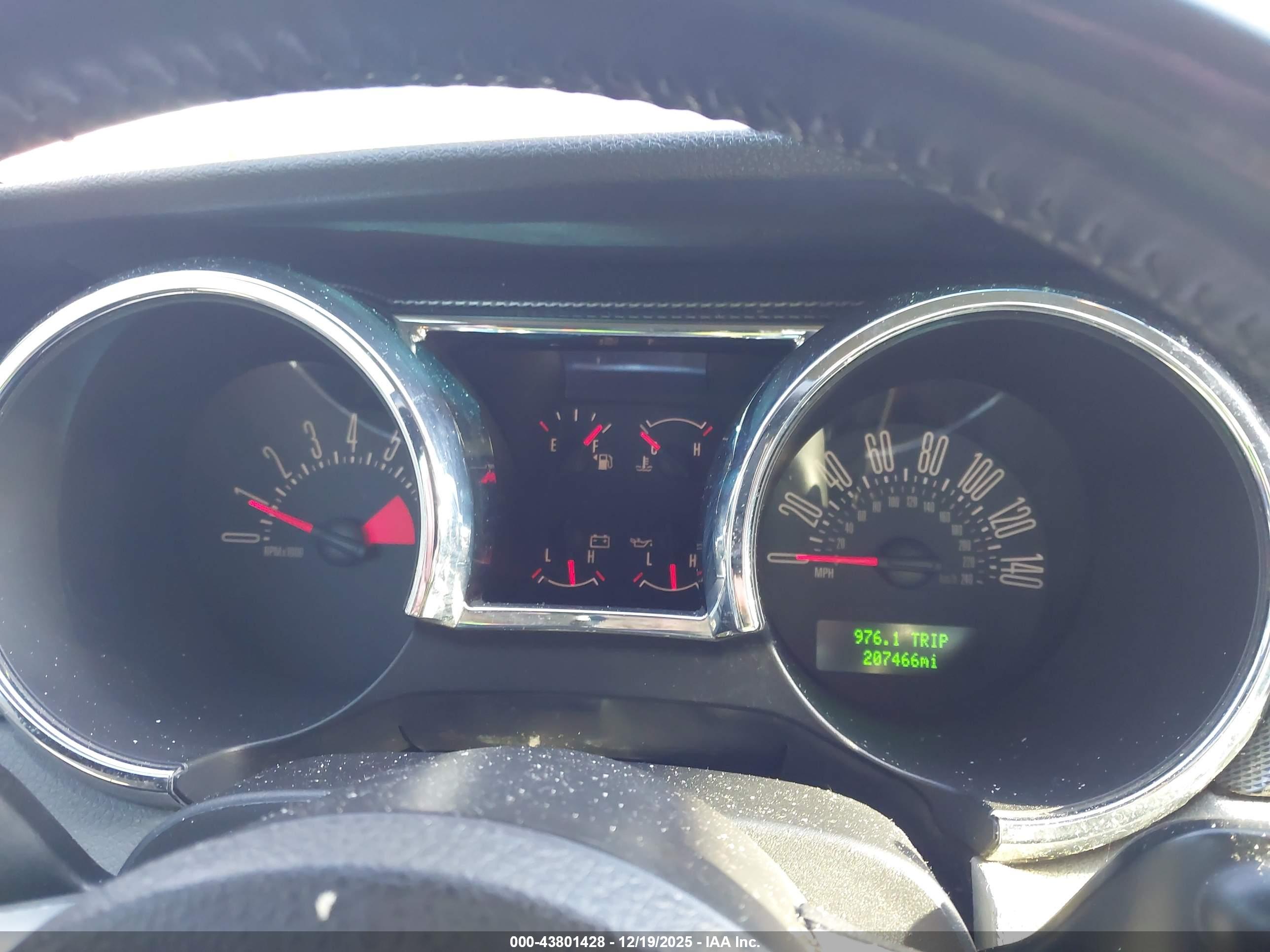 FORD MUSTANG image 7